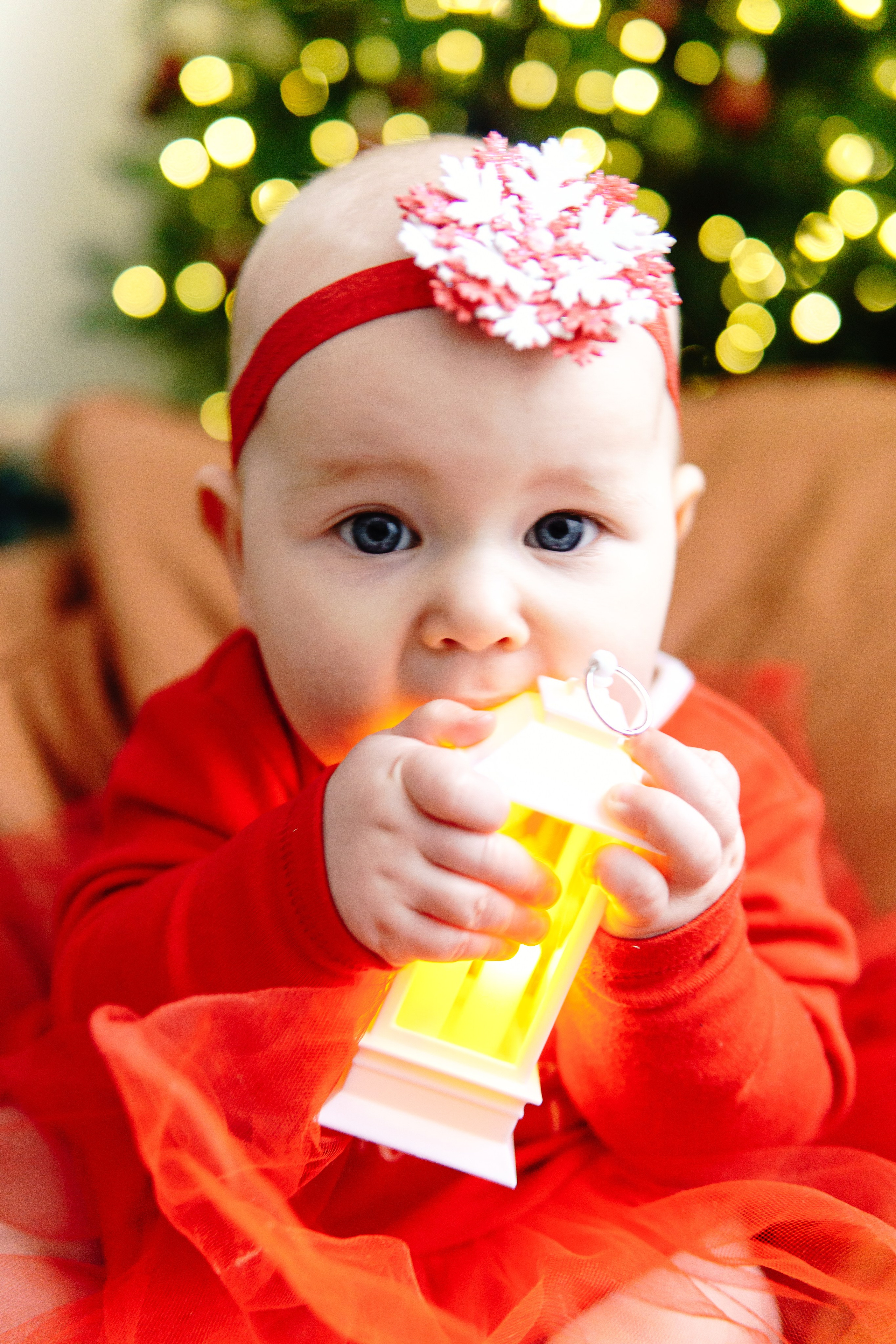 Александр Александра Алиса и Ева. Алексей Никифоров свадебный и семейный фотограф Москва, Химки