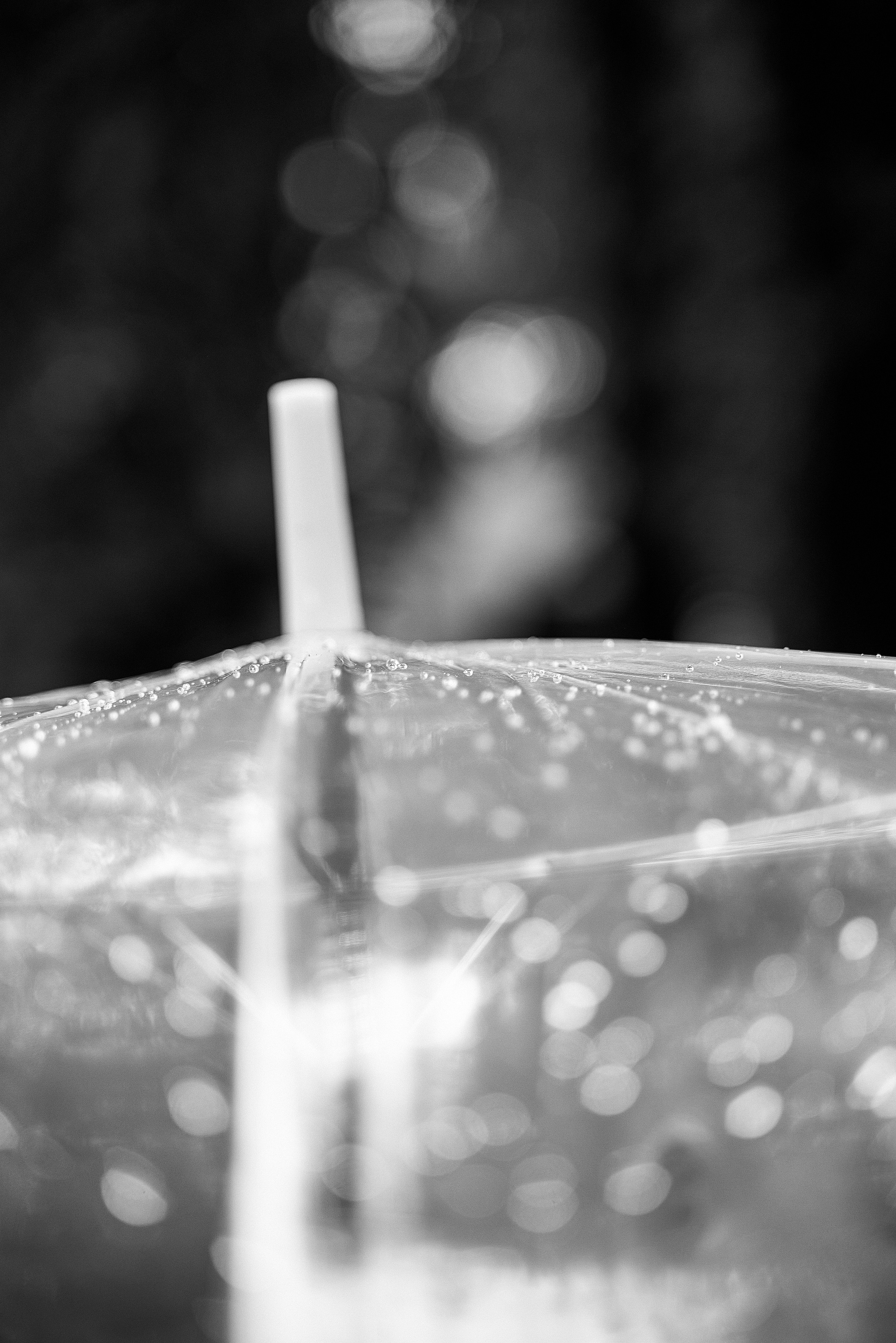 Свадебная съемка Брянск Москва Свадебный фотограф фотограф на свадьбу  фотограф Орел. Свадебный и портретный фотограф в Брянске Скепская Лилия