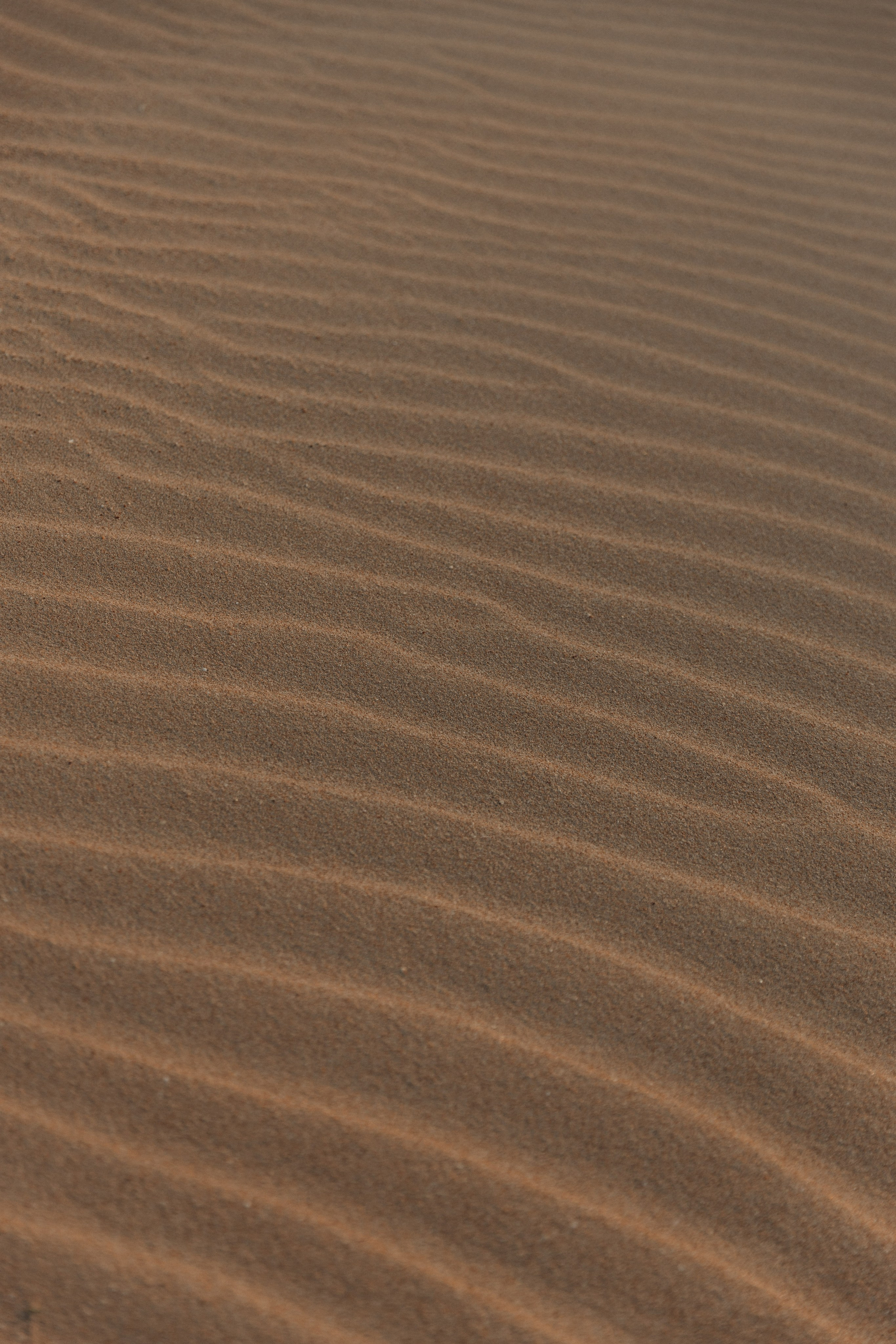 Пески и море. Свадебный и репортажный фотограф Новороссийск Краснодар Сочи Крым Данила Данилов