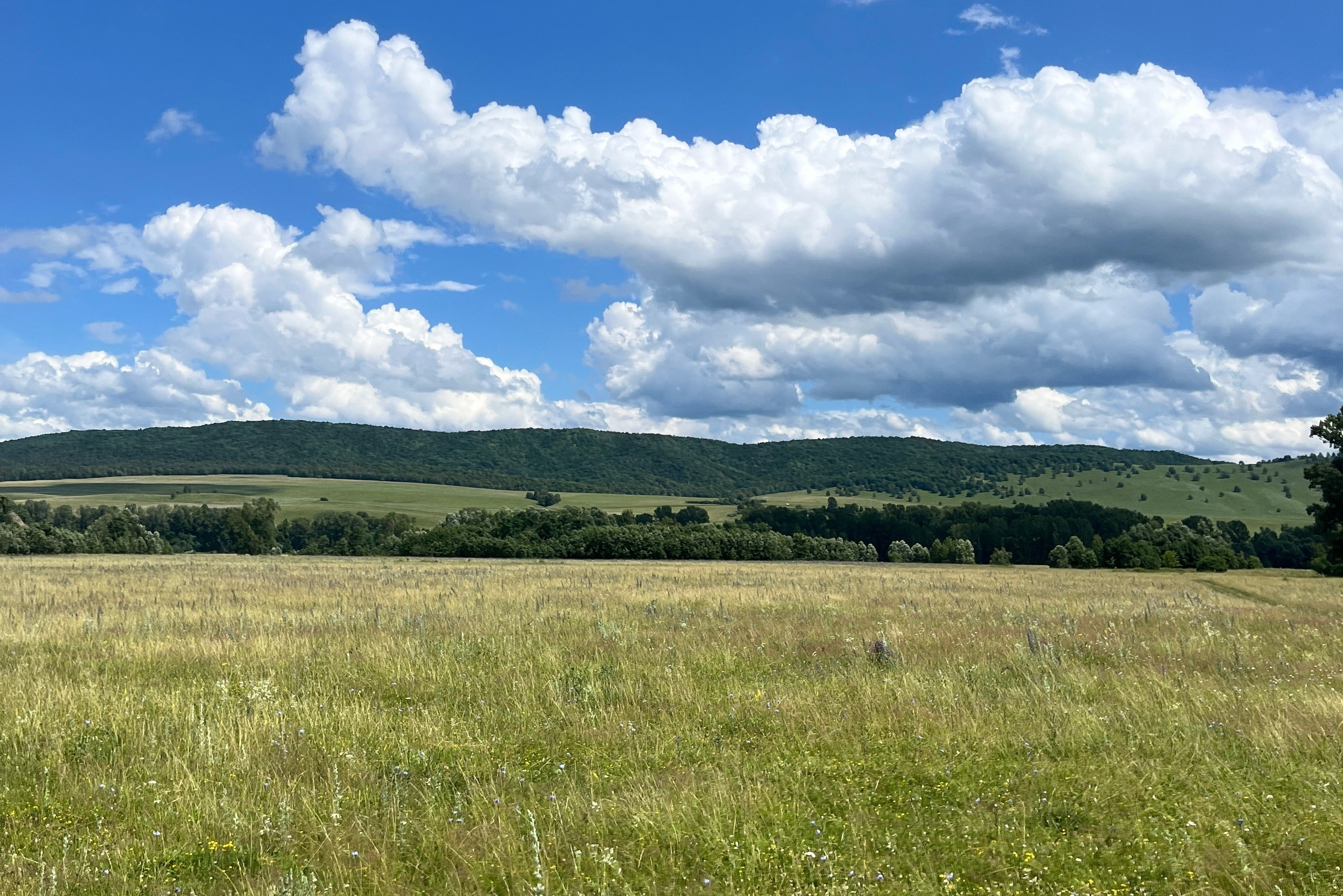 Конный тур к скале Уклы-Кая из Уфы — Время приключений