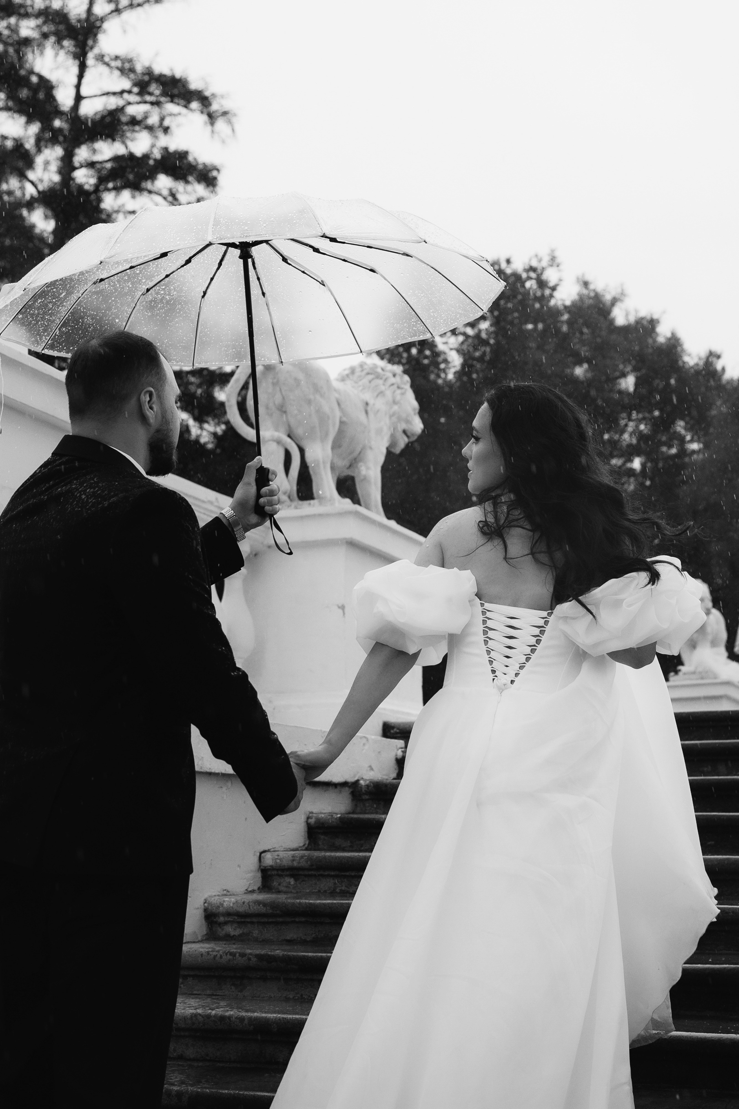 Маргарита и Артур. Фотограф анималист в Москве и Санкт-Петербурге Свиридова Анна