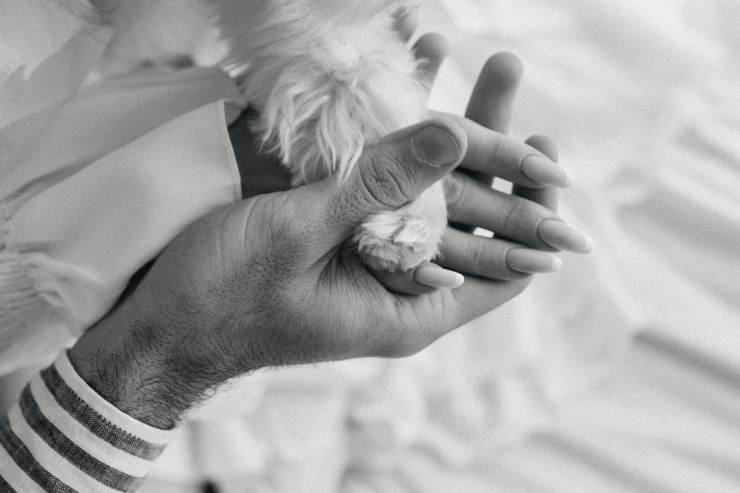 Владислав & Ксения. СВАДЕБНЫЙ ФОТОГРАФ ЕВГЕНИЯ МОДИНА Ярославль