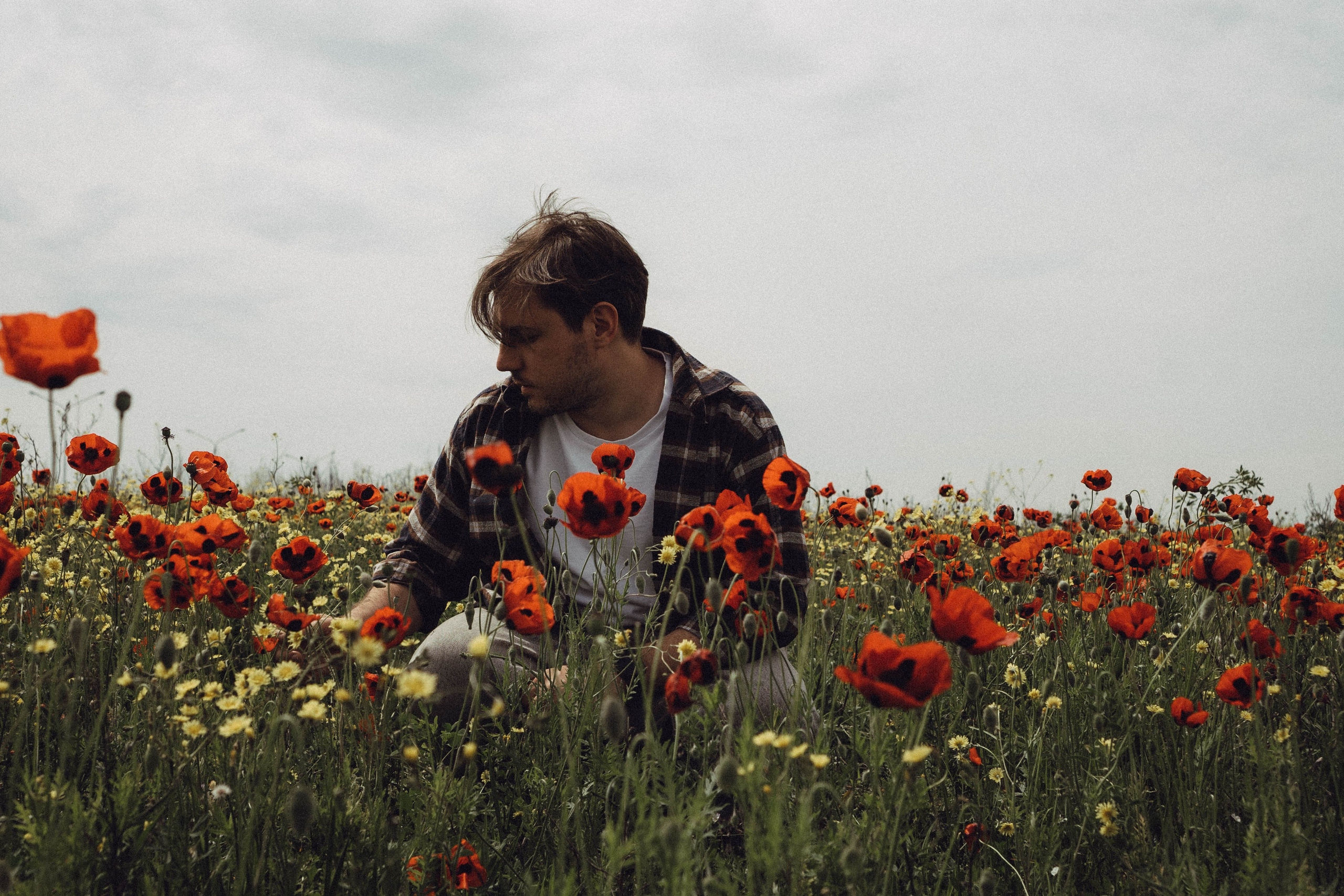 Маки. Профессиональный фотограф, Санкт-Петербург — Виктория Богомолова