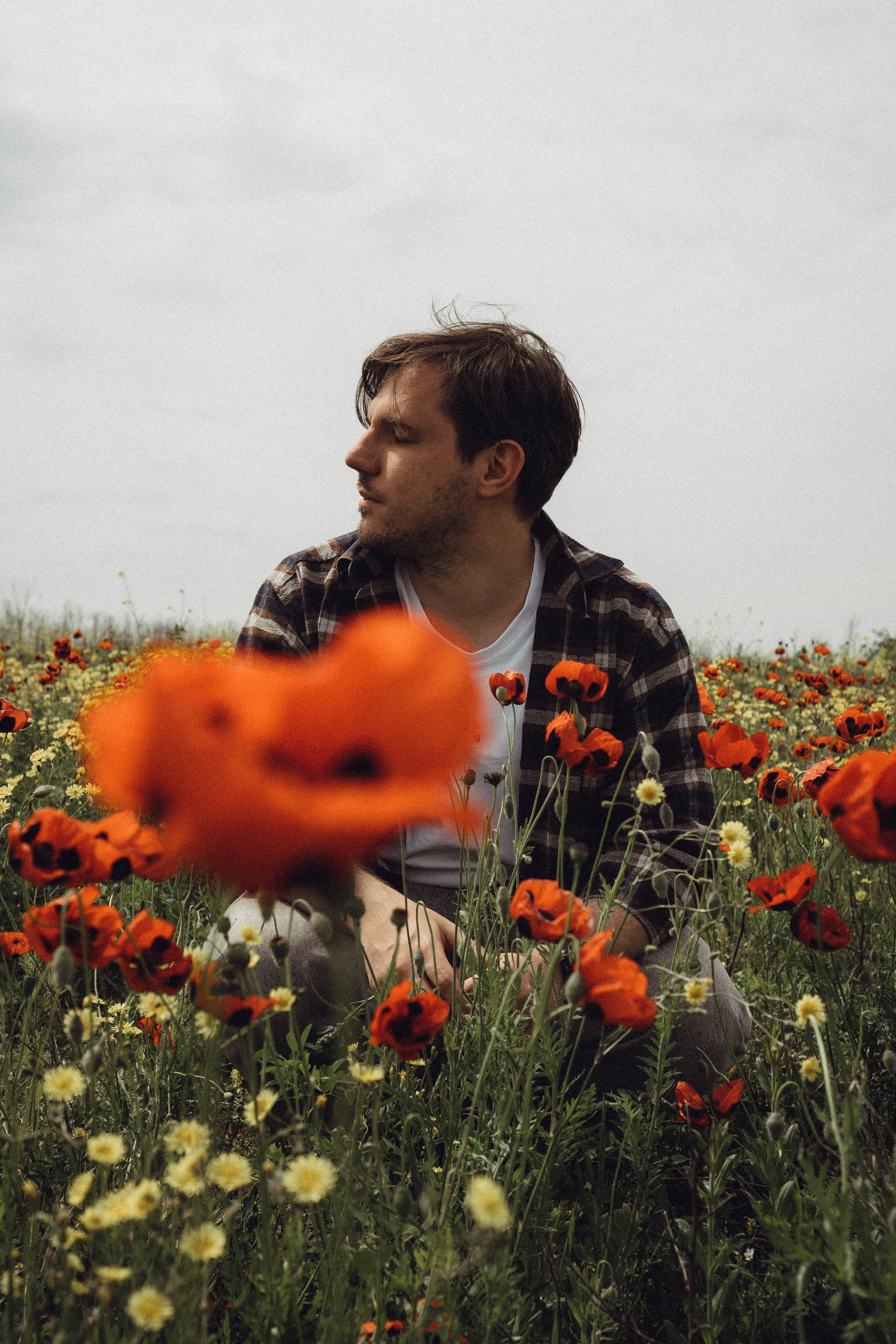 Маки. Профессиональный фотограф, Санкт-Петербург — Виктория Богомолова