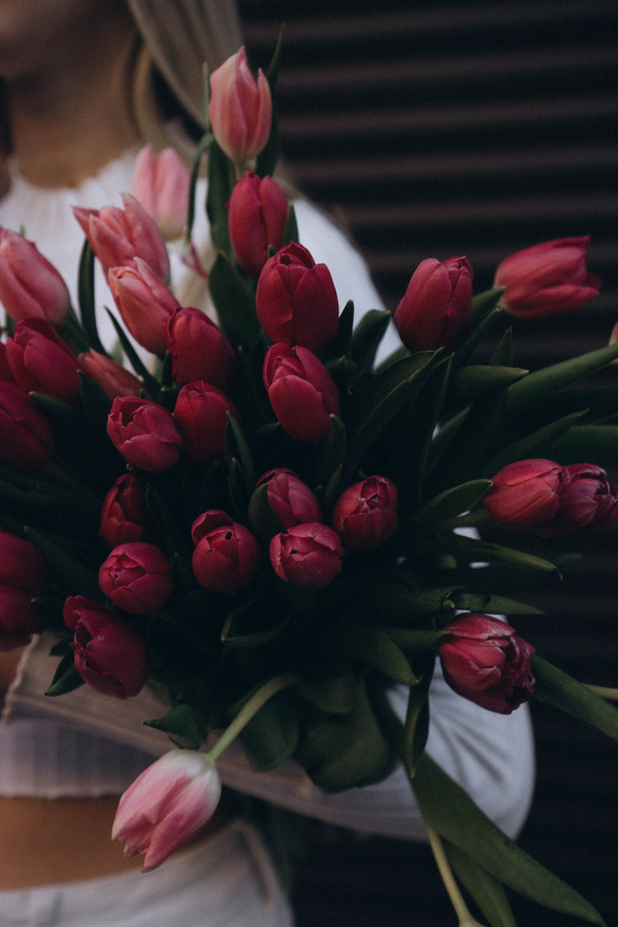 На закате. Профессиональный фотограф, Санкт-Петербург — Виктория Богомолова