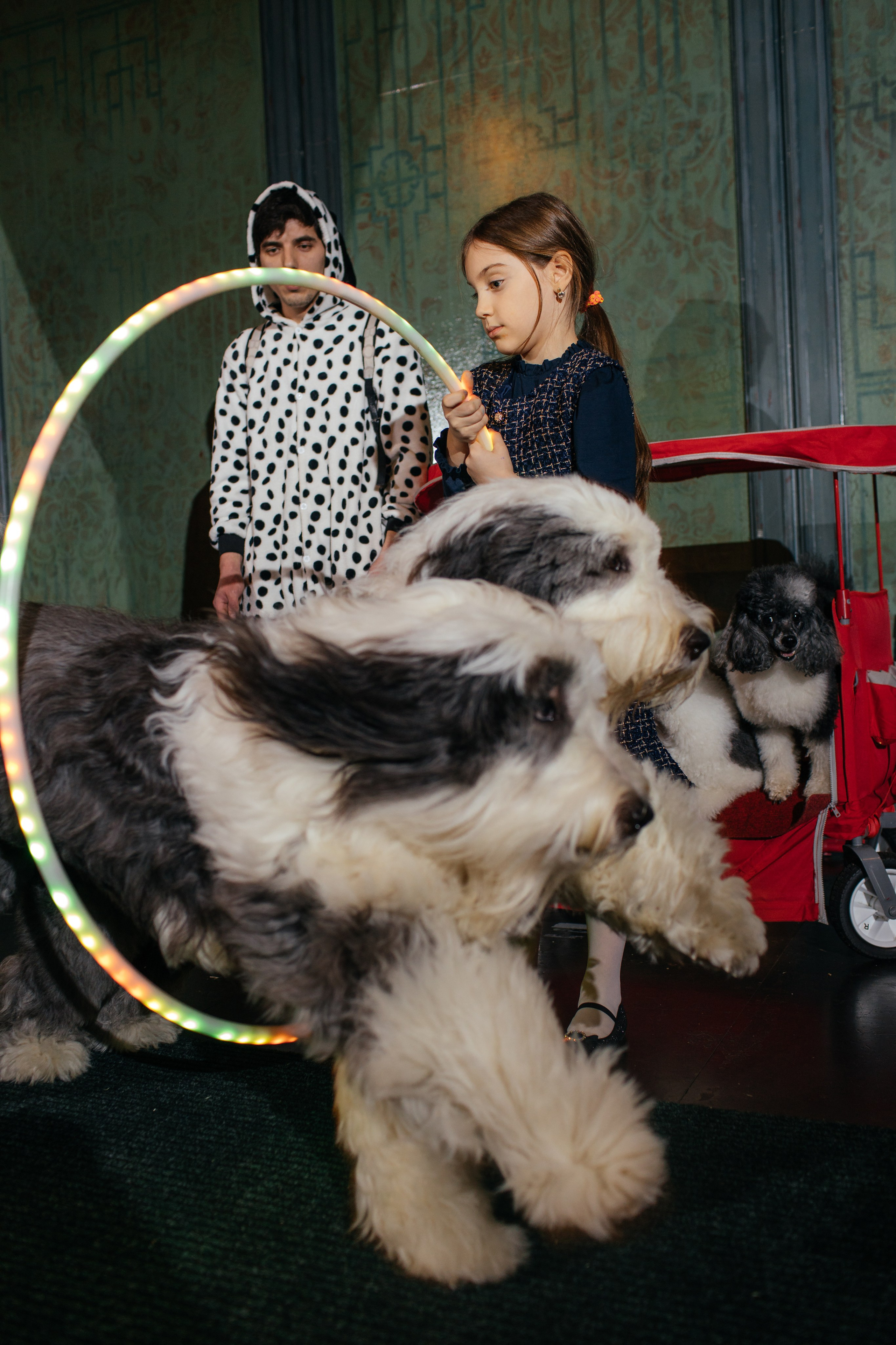 Алине 7 лет. Свадебный и семейный фотограф