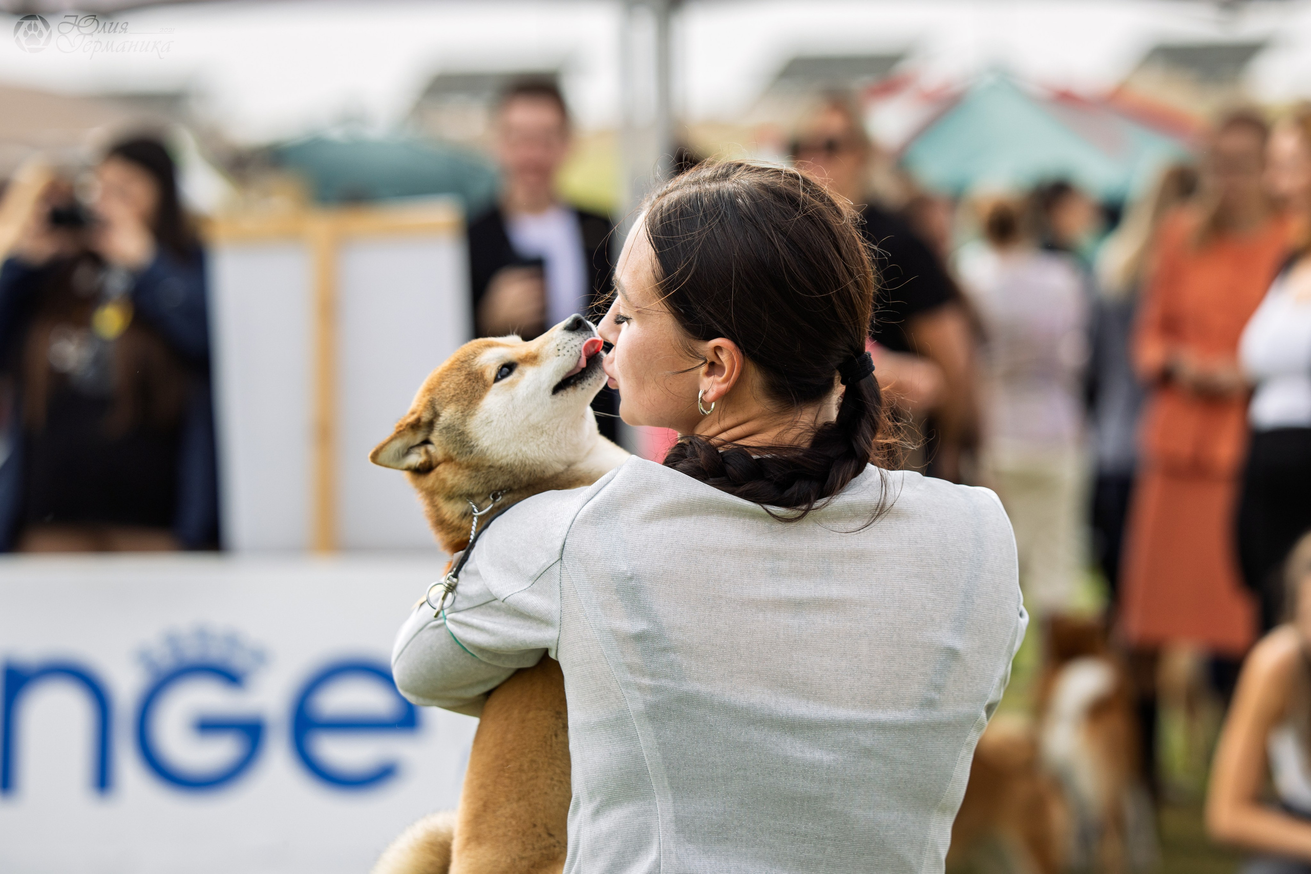 Армения,Ереван 3хCACIB 15-17.10.2024. Фотограф-анималист Юлия Германика