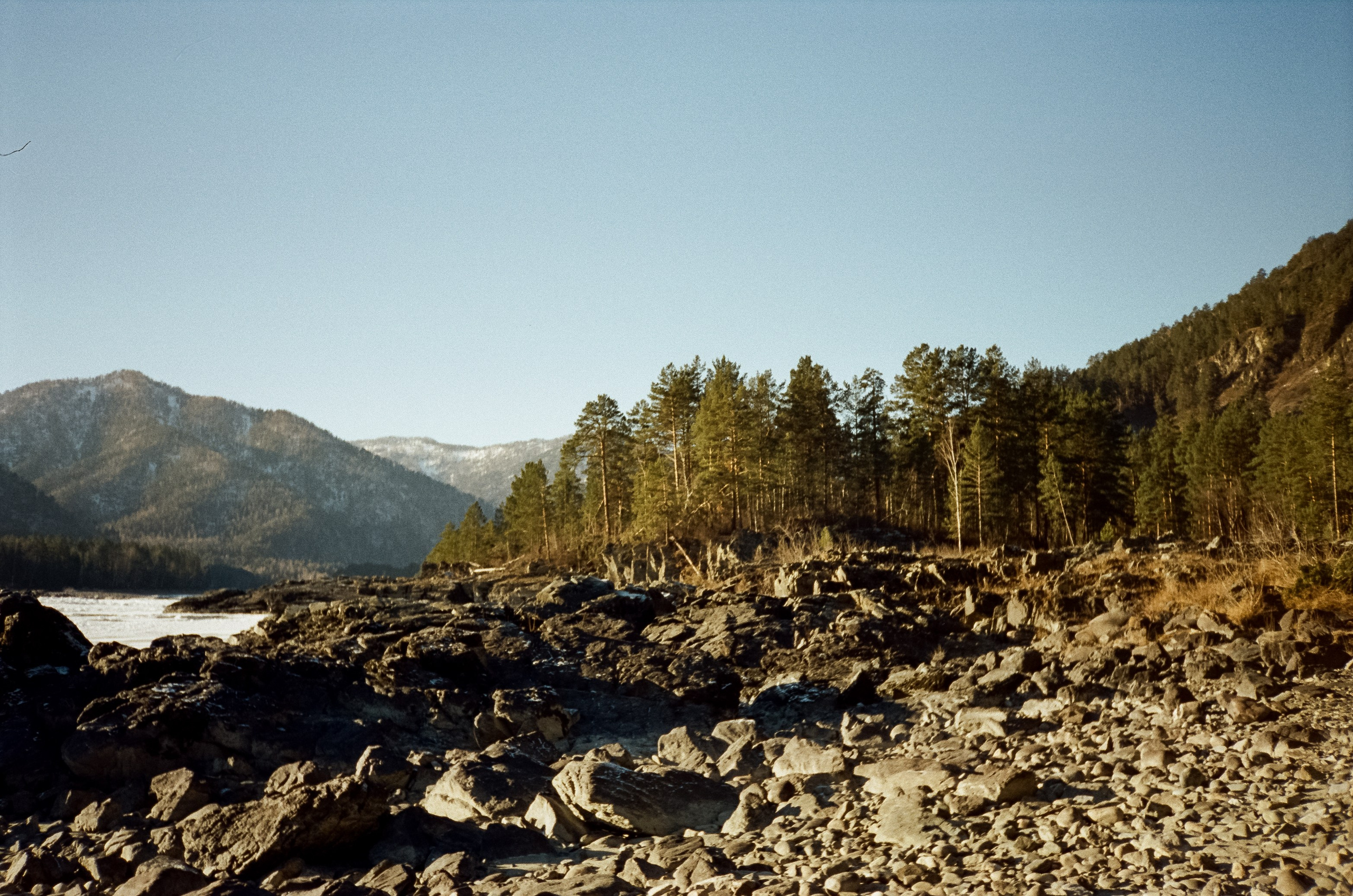 Зимняя Катунь: острова, льды, скалы у базы Берель. Зеленые сосны и. Фотограф-документалист Мария Осокина