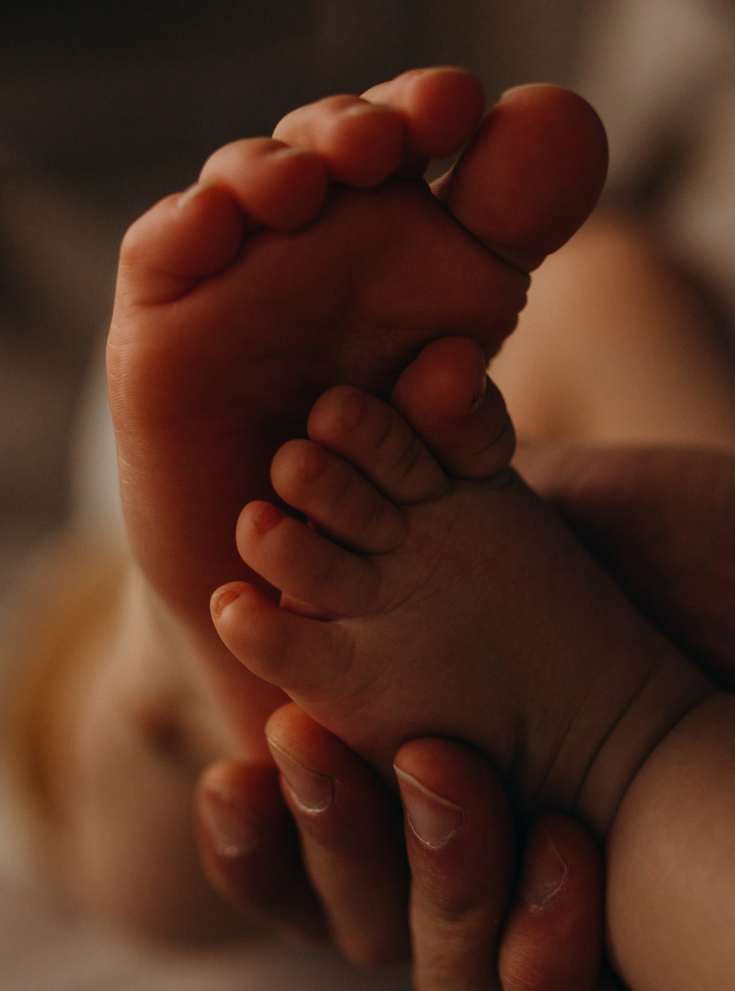 Братик. Главная