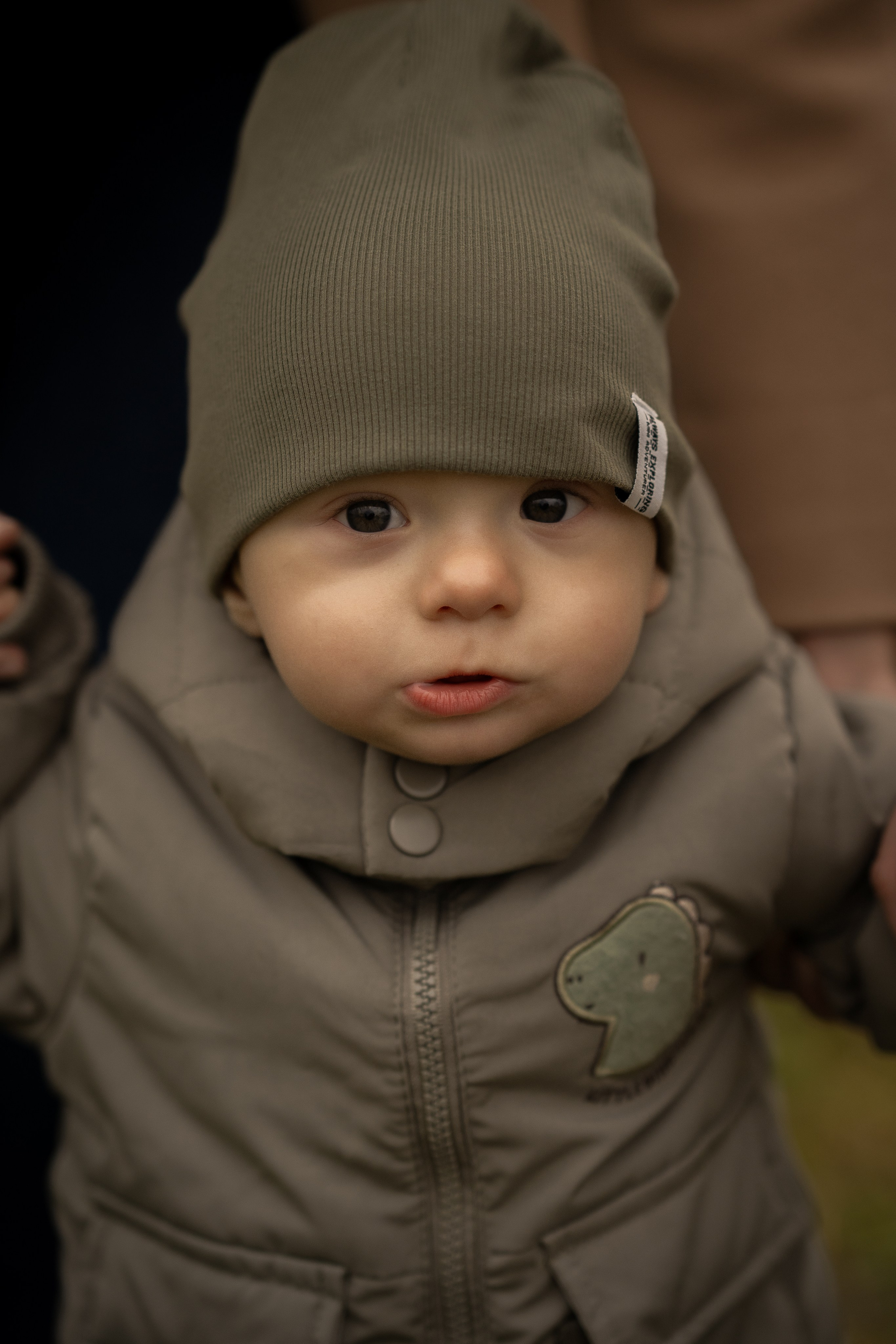 Осень, годовасие Даниила. Семейный и детский фотограф в Сергиев Посаде, Хотьково Якимчук Любовь