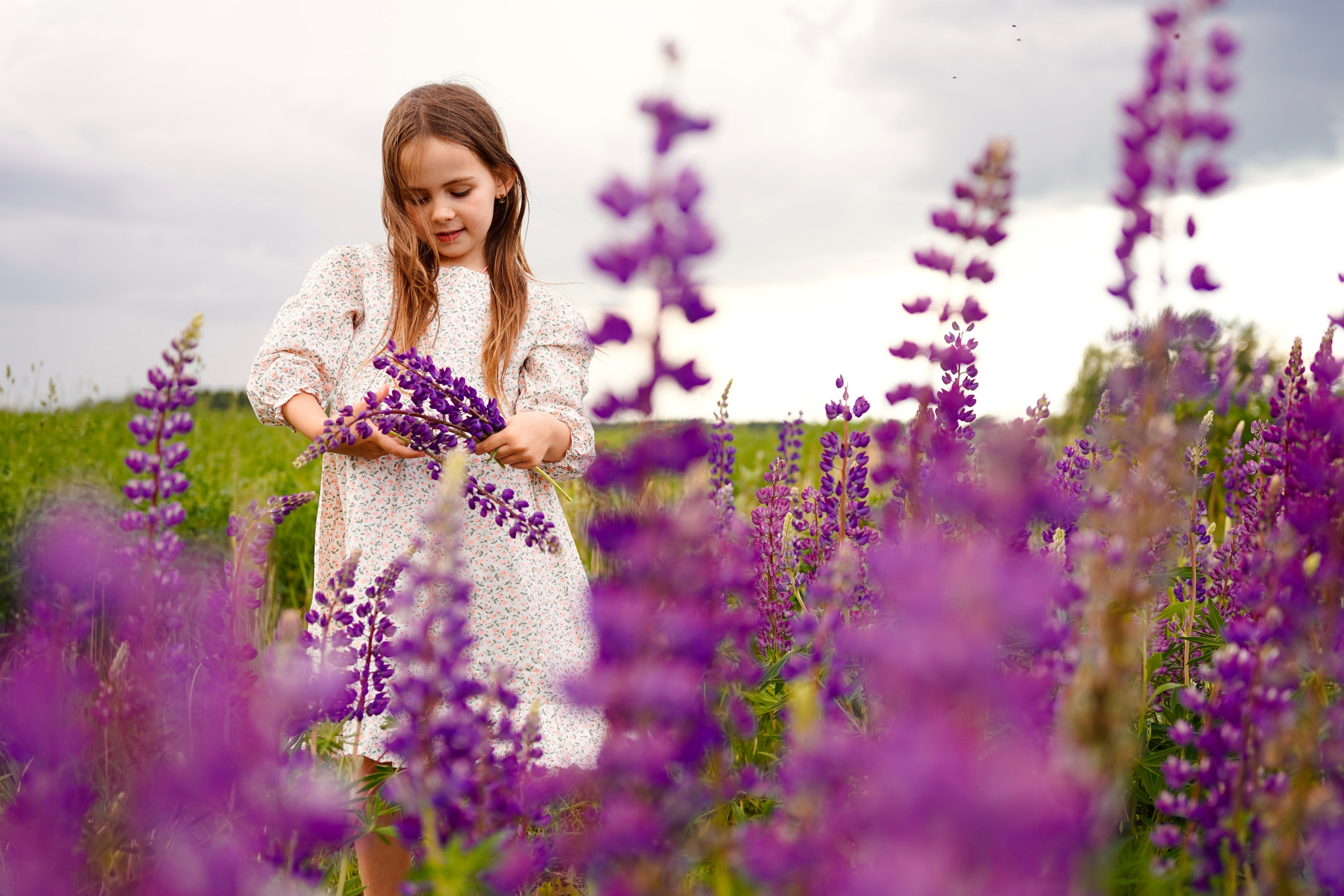 Когда цветут люпины. Семейный и детский фотограф Александра Гвоздикова