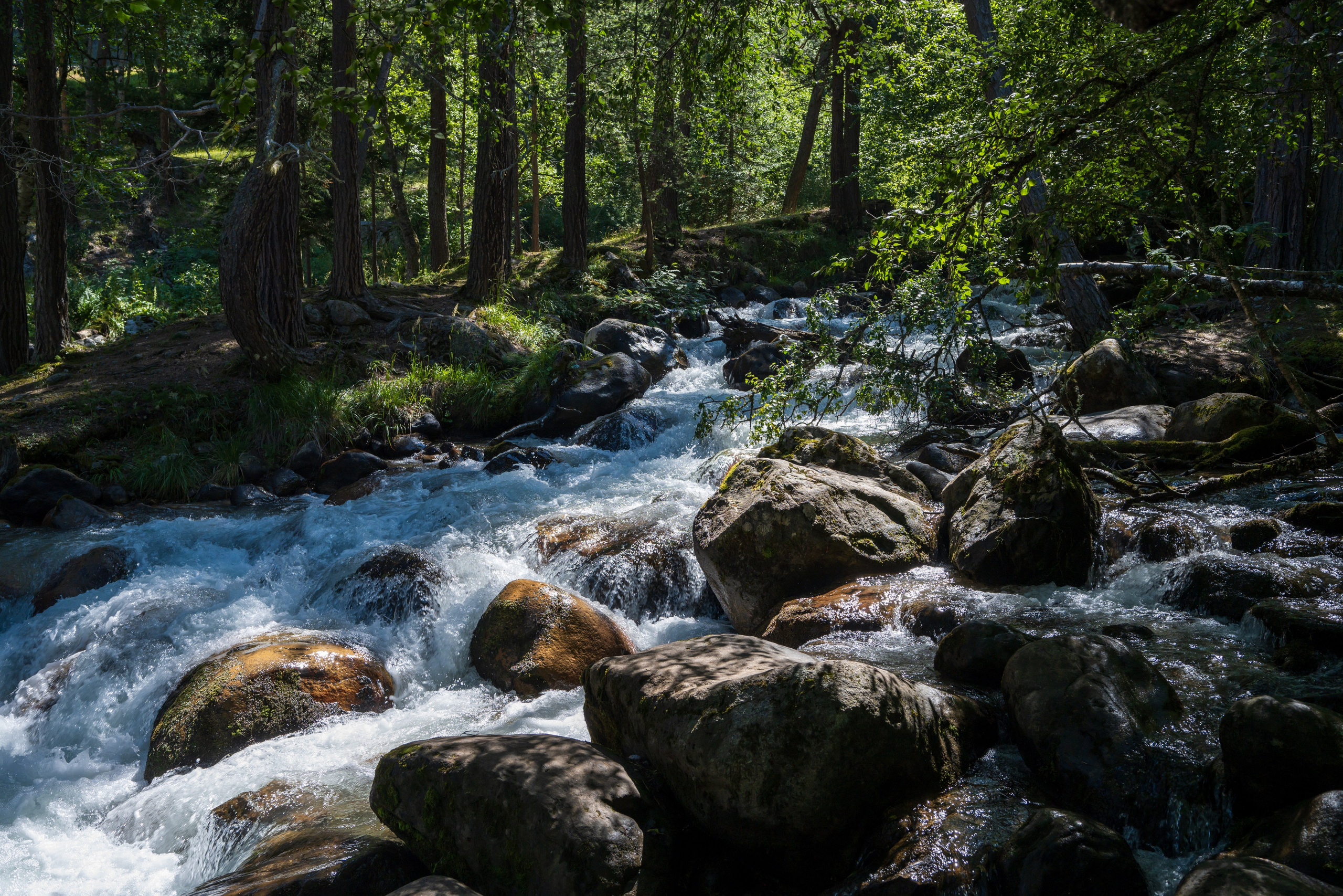 Экспедиция 2025