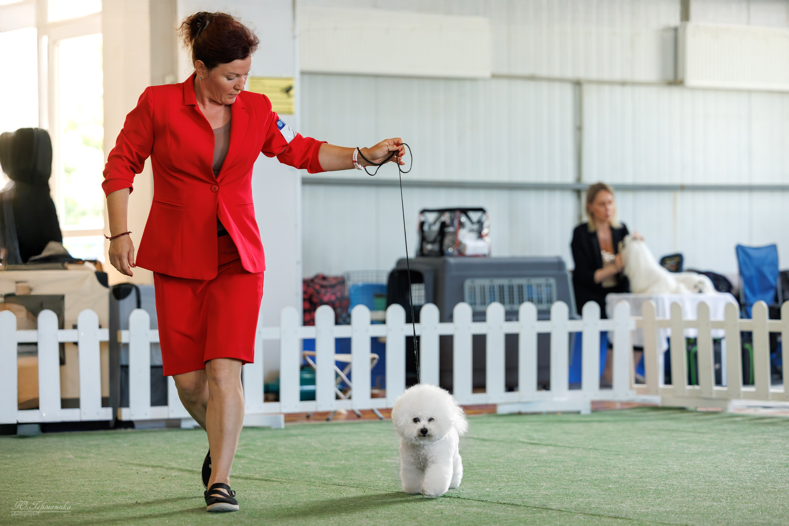 Батуми 3хCACIB 27-29.06.2025. Фотограф-анималист Юлия Германика