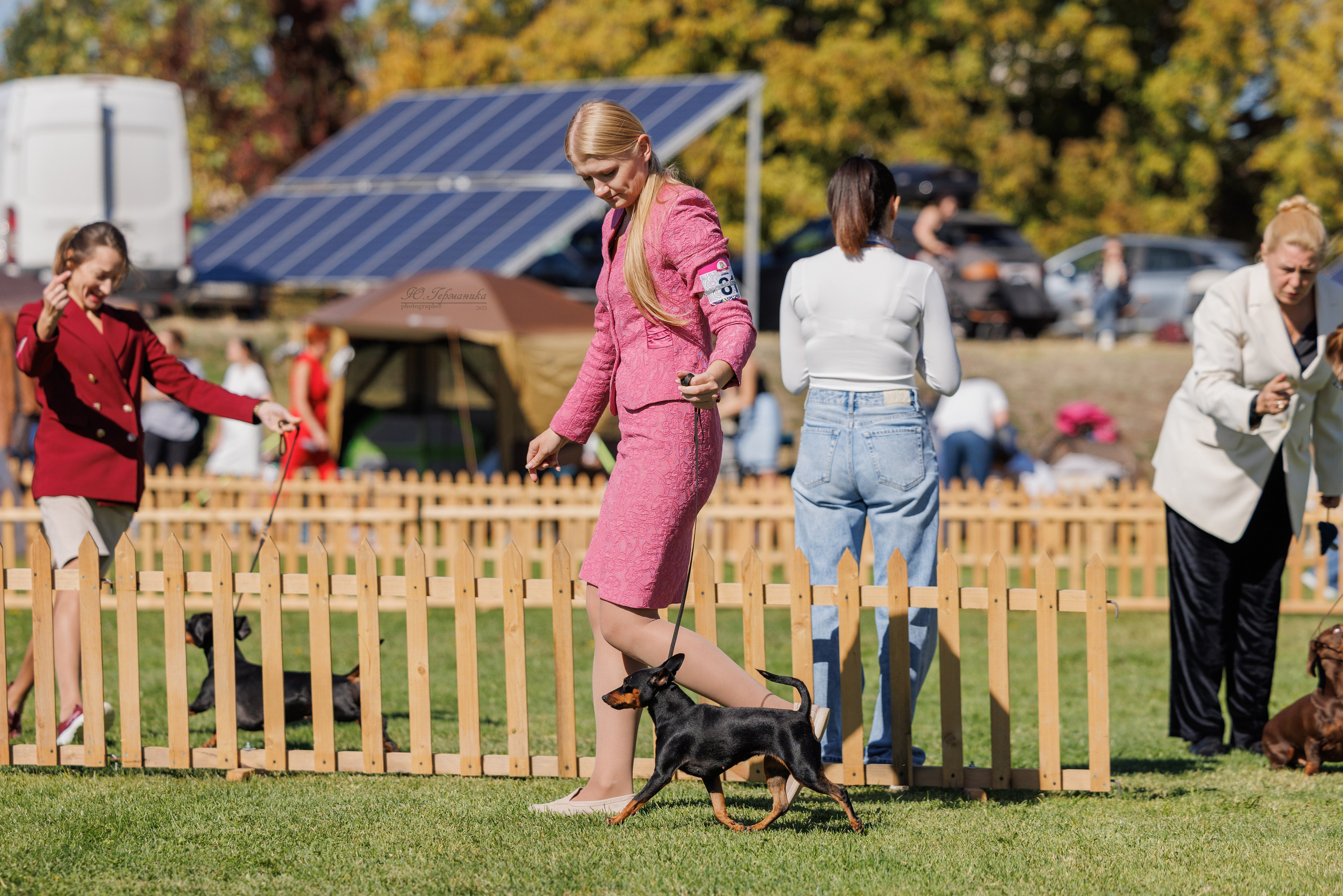 Ереван 14-16.10.2025. Фотограф-анималист Юлия Германика