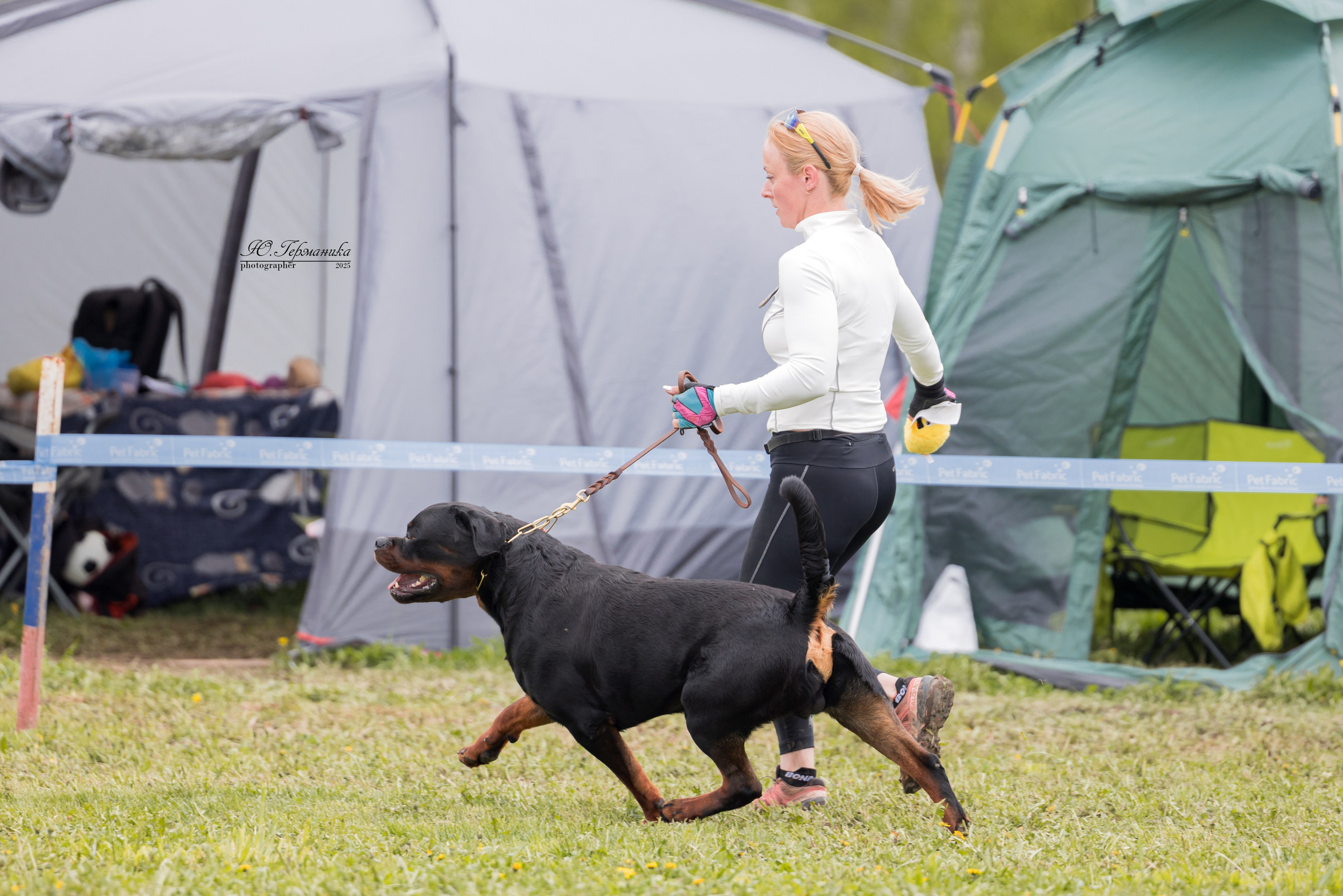 Нижний Новгород 2хмоно ротвейлеров 10-11.05.2025. Фотограф-анималист Юлия Германика