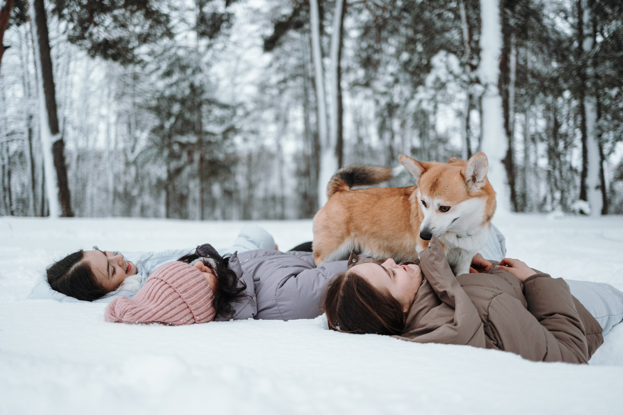 Оливка и ее семья. Фотограф — Анималист | Санкт-Петербург