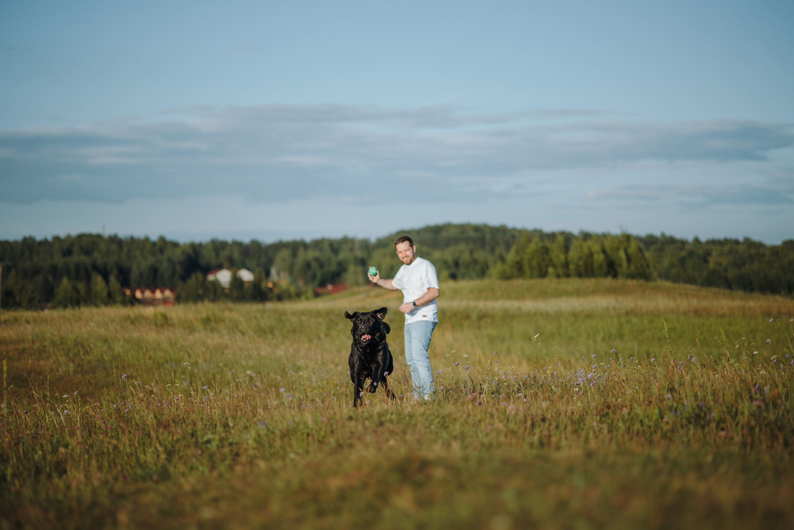 Бомбей и его семья. Фотограф — Анималист | Санкт-Петербург