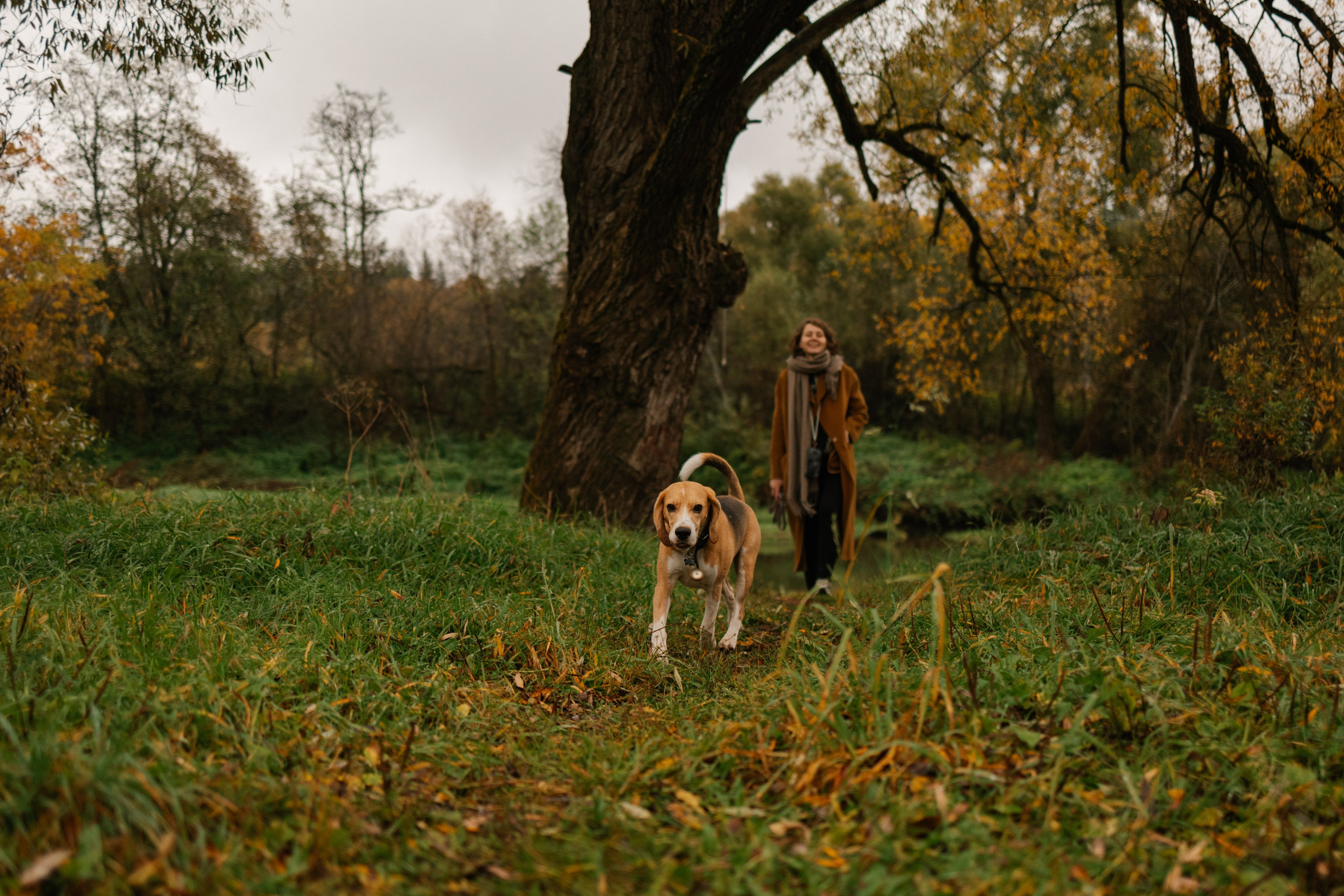 Лена и Тайгер. Фотограф — Анималист | Санкт-Петербург