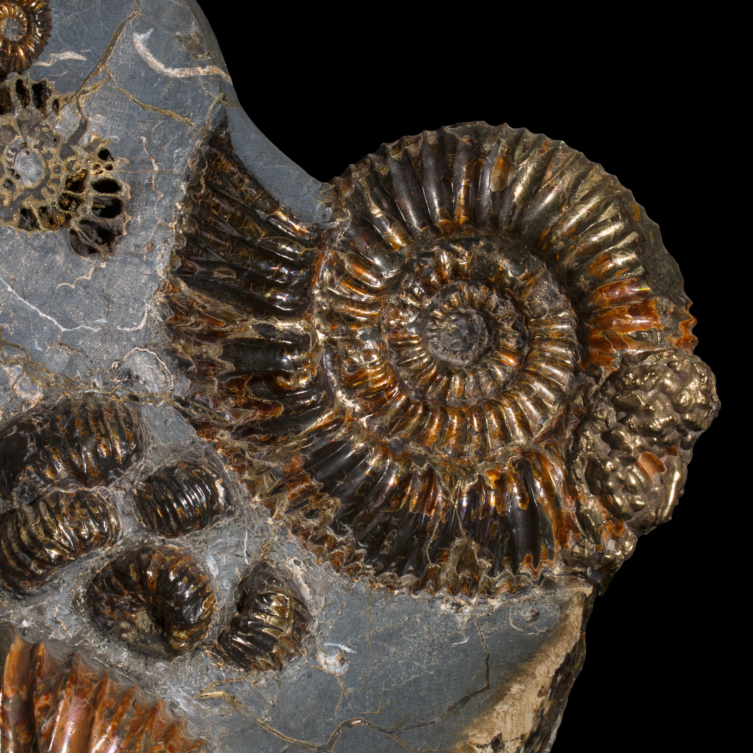 Каталог различных видов профессиональной обработки фотографий | Студия SVITHART