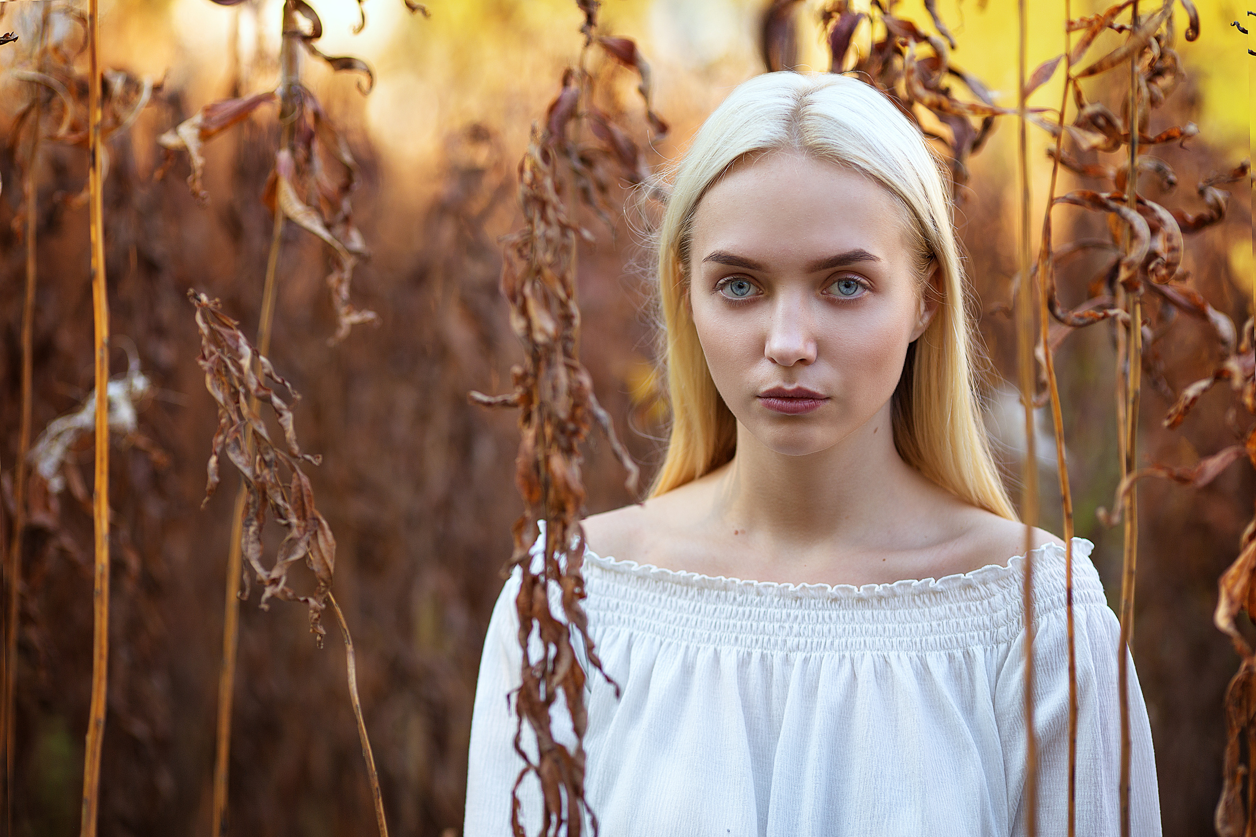 Прогулочные. Фотограф города  Краснотурьинска Медведев Михаил