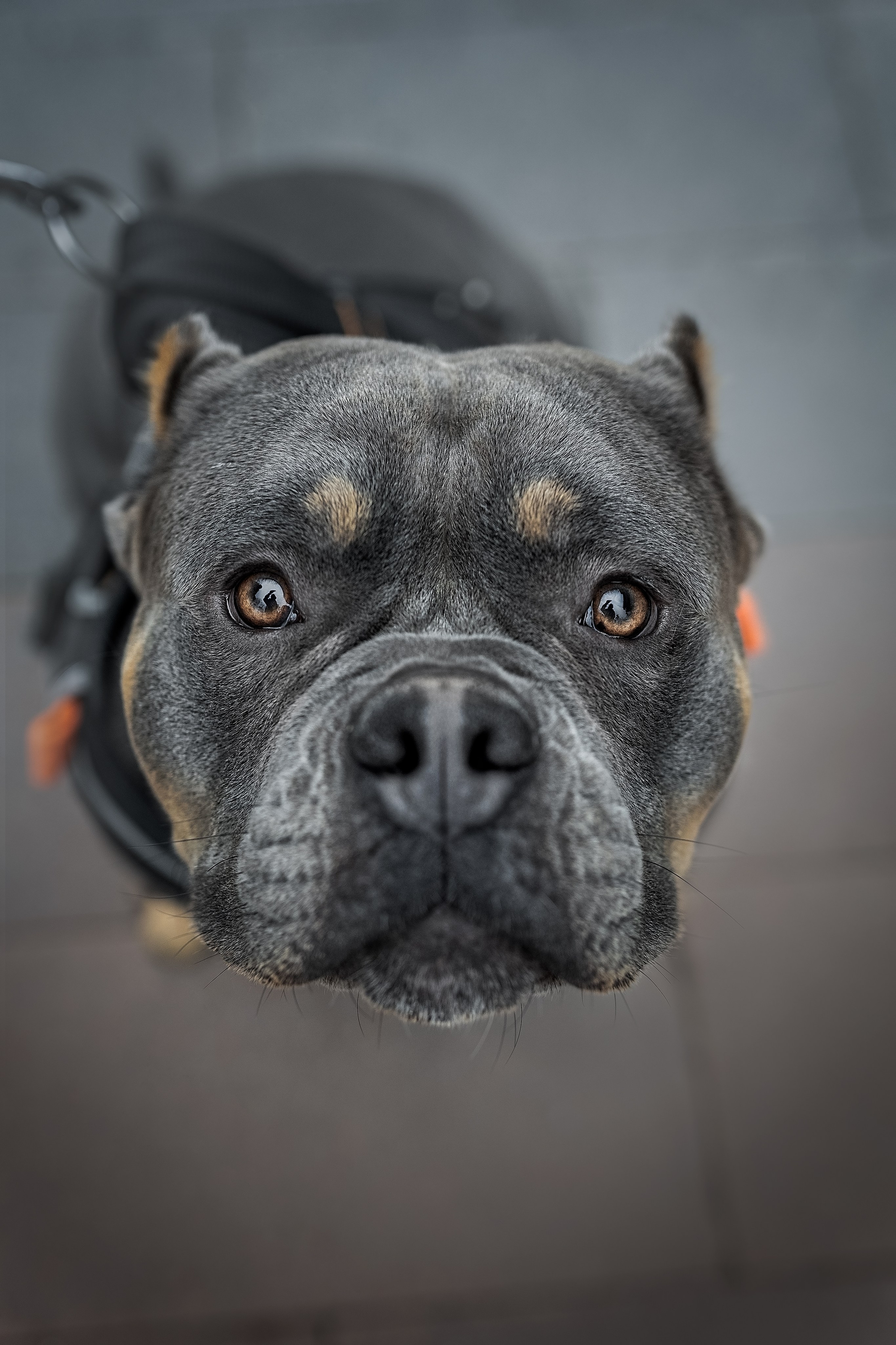 Анималистика. Репортажный фотограф Мария Мадзик