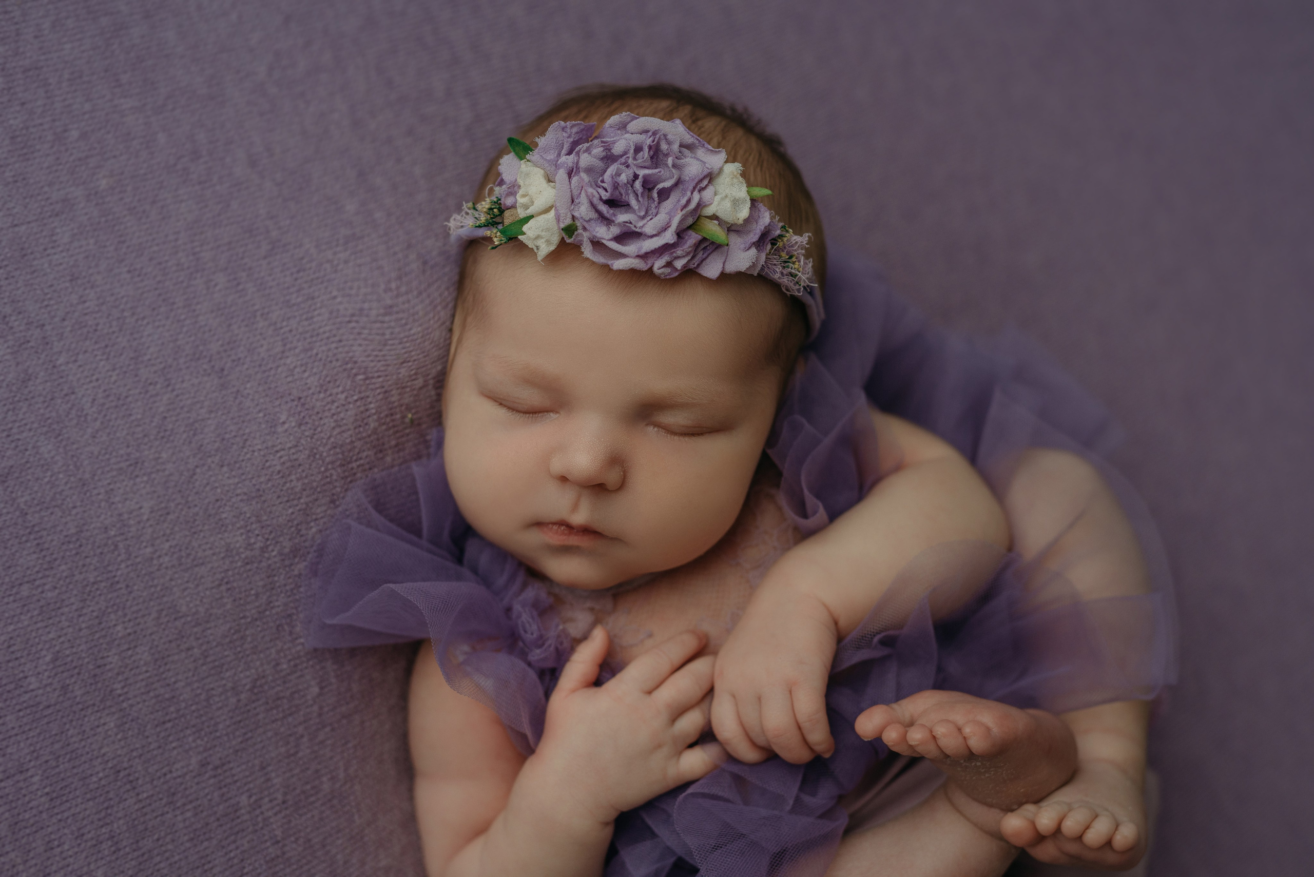 Ева. Фотограф новорожденных Белгород