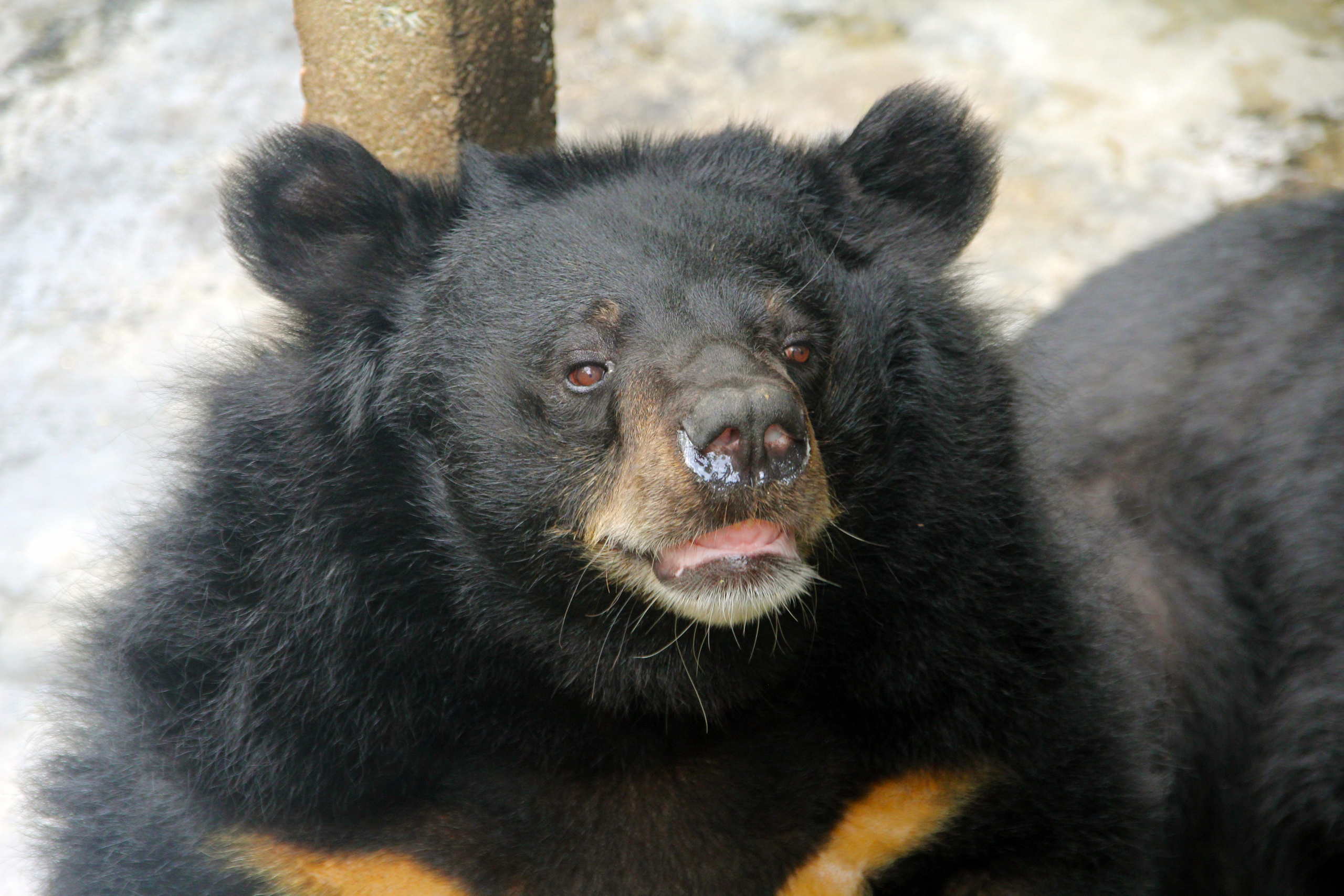 Пхукет. Фотограф Алексей Федорищев
