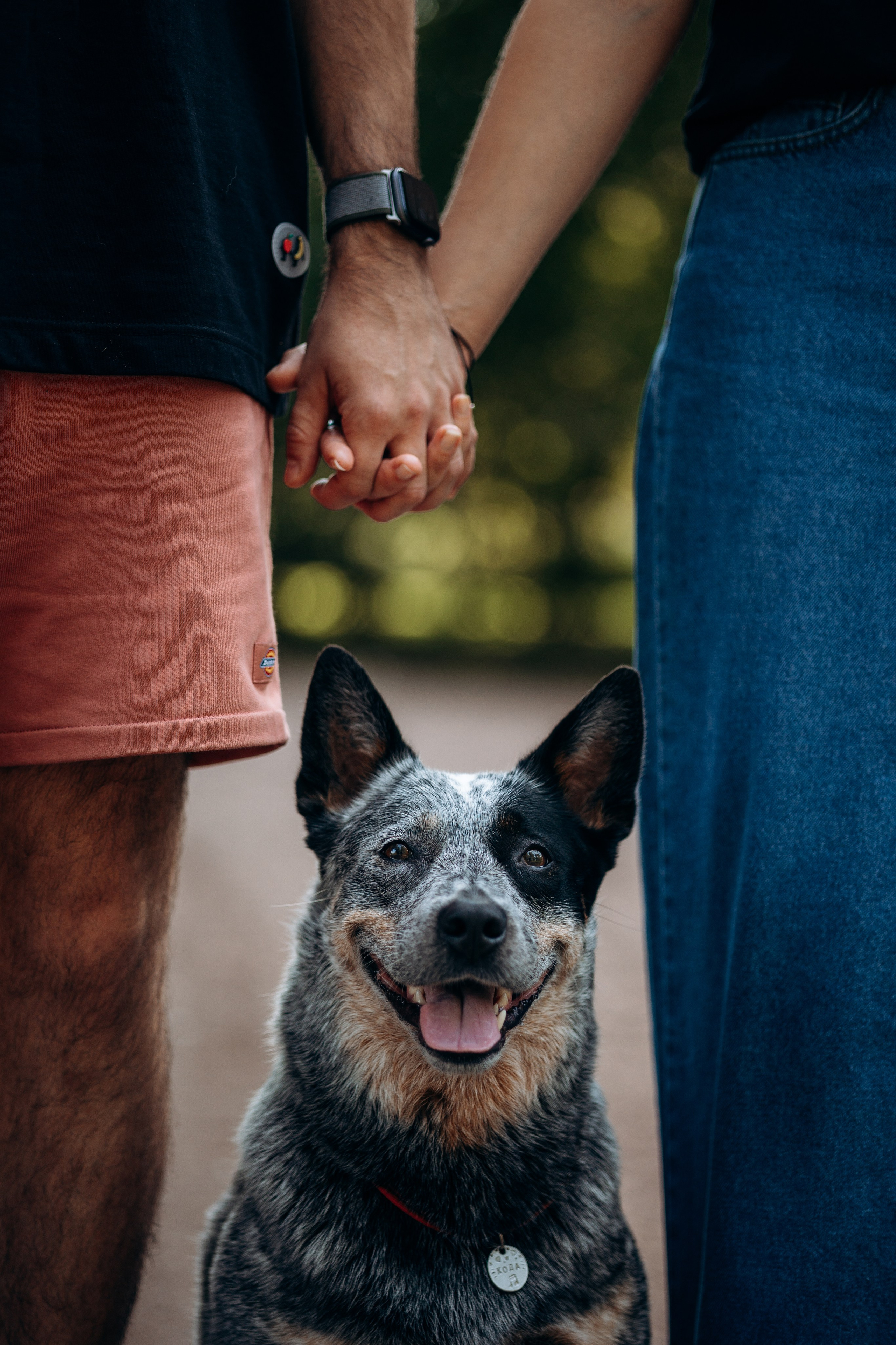 Кода и ее семья. Фотограф — Анималист | Санкт-Петербург
