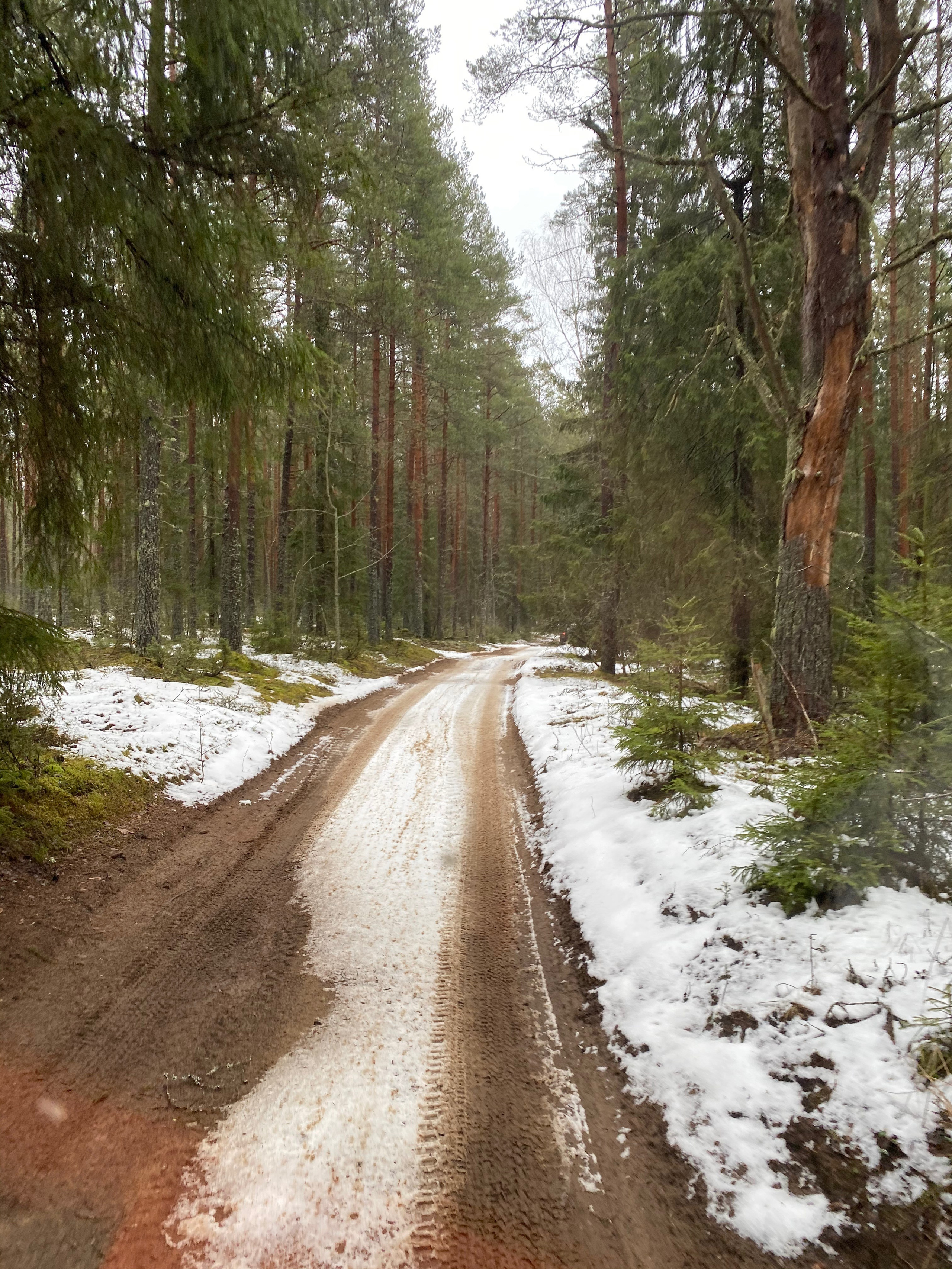 Вокруг Селигера-20. Своя Мастерская