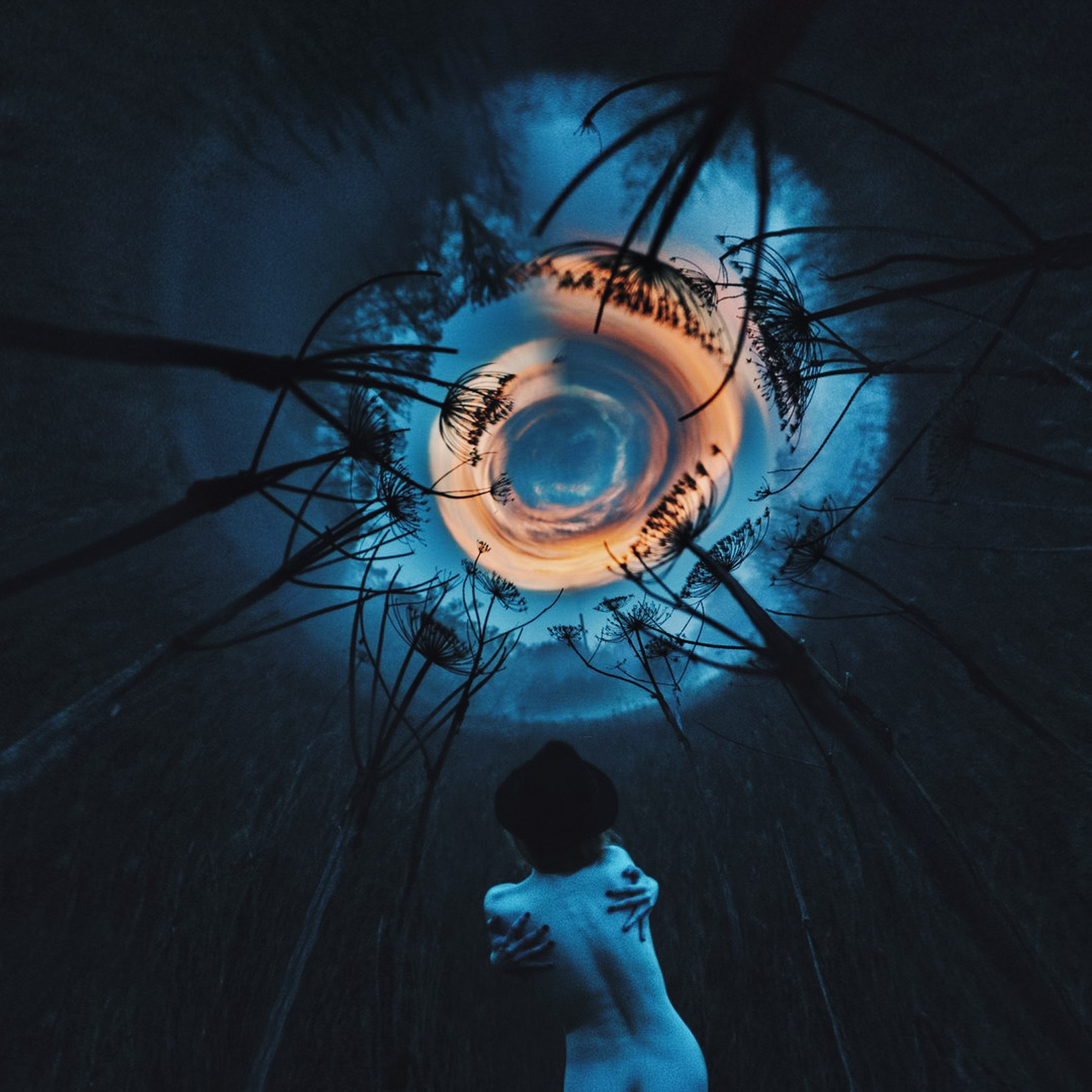 Portfolio. The Andris