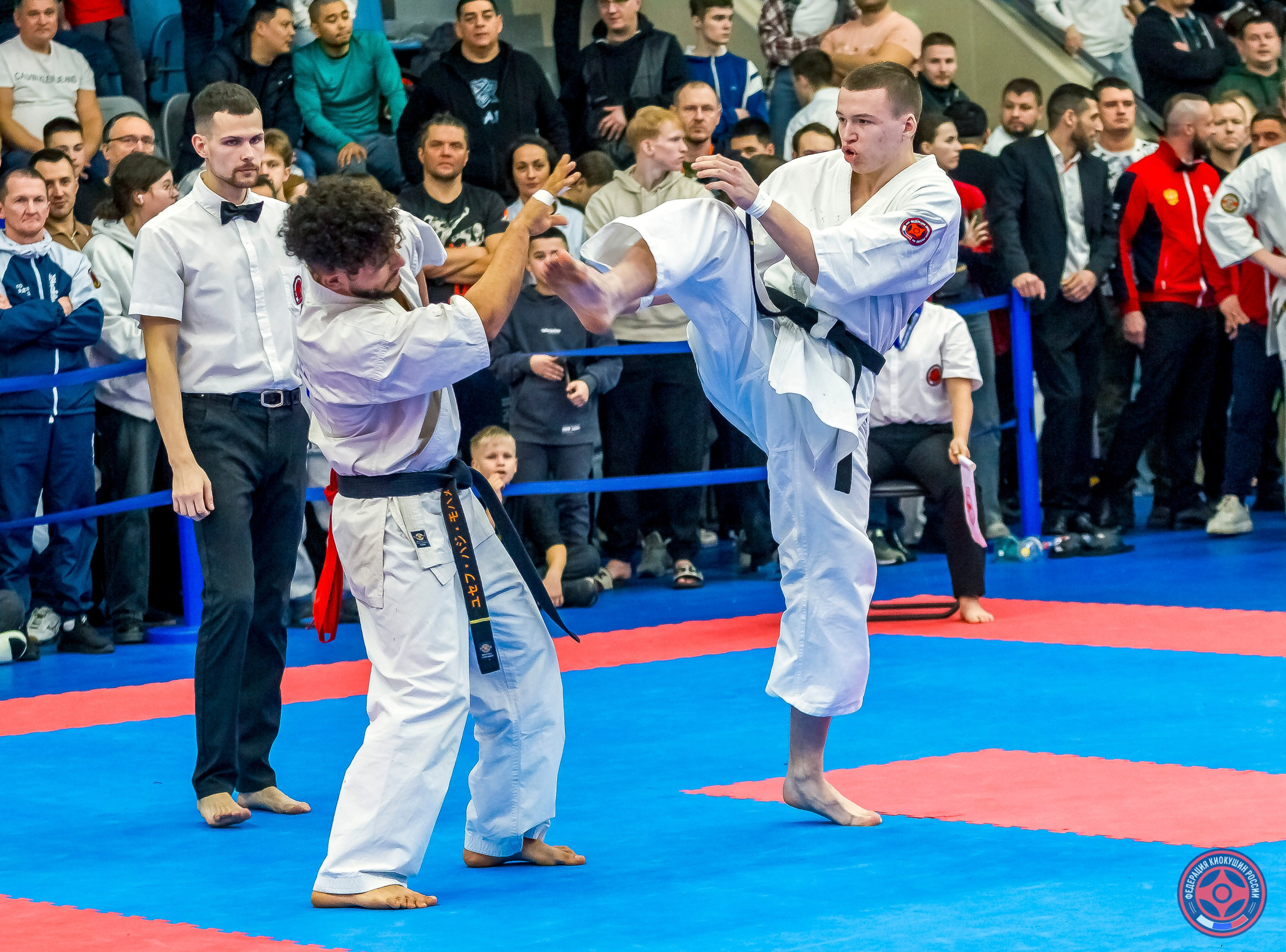 Международный турнир по киокушин «Открытый кубок Seiken». Репортажная съемка в Москве и области. Анималистика