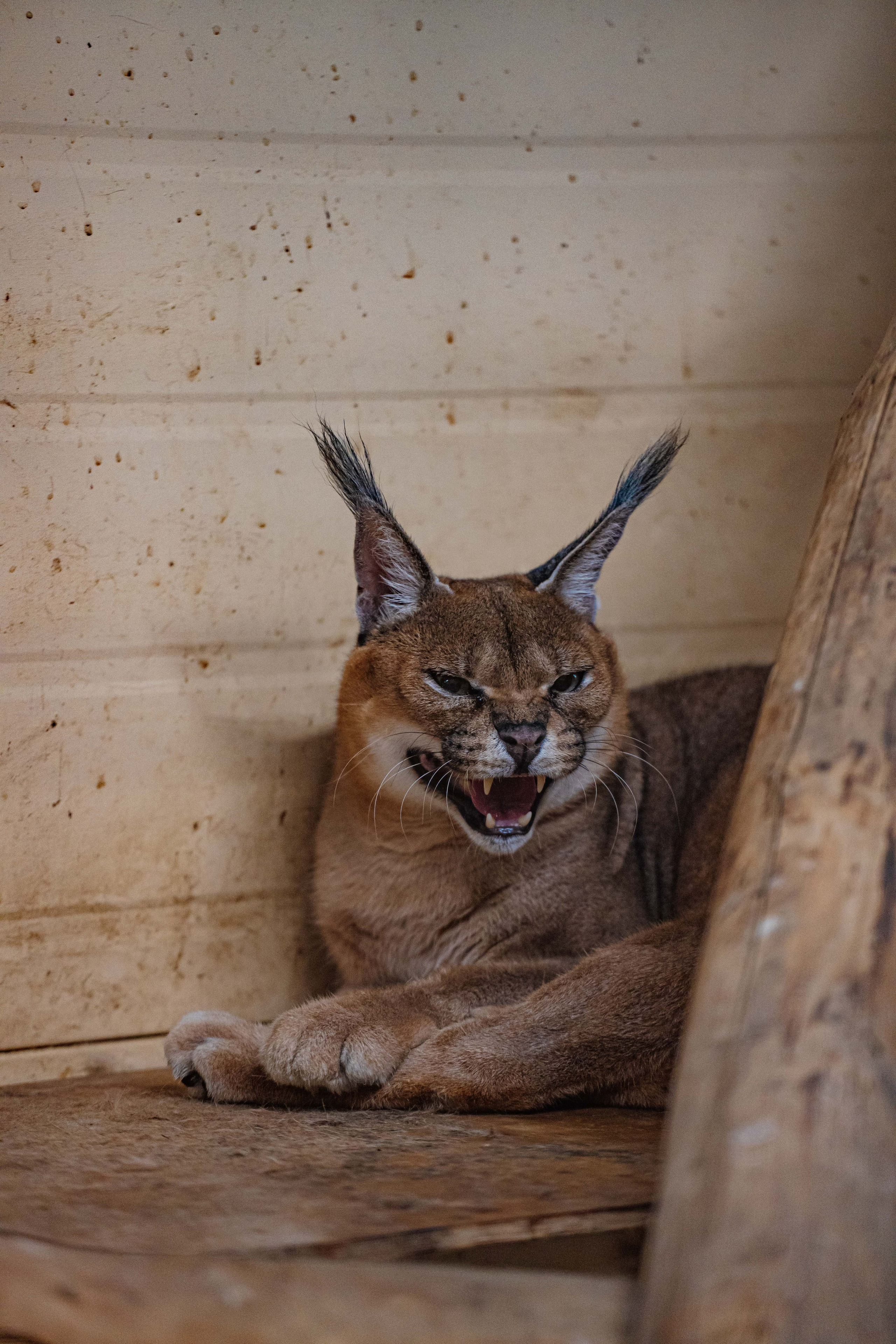 СЕВЕР. Event фотограф Степанова Александра