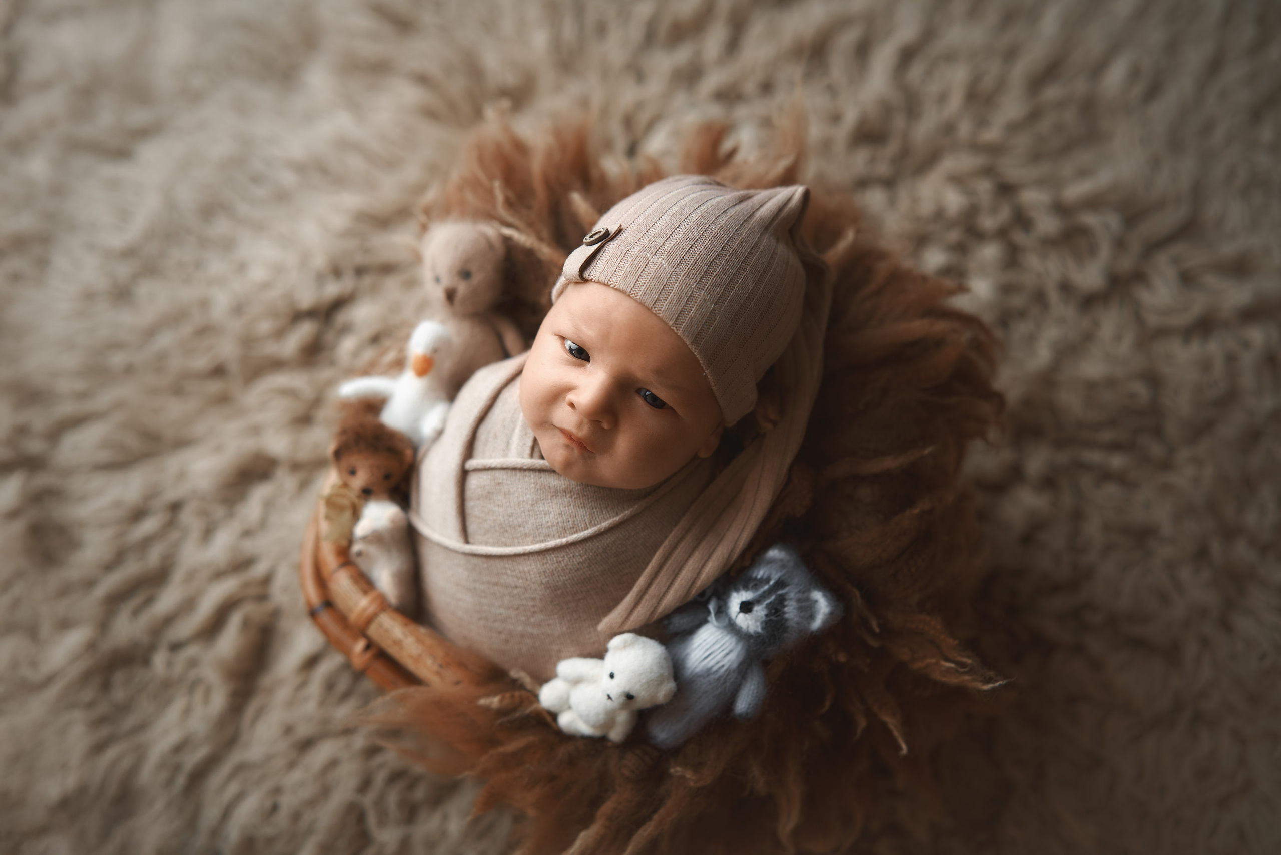 Ричард. Фотограф новорожденных во Владивостоке Ромашко Виктория