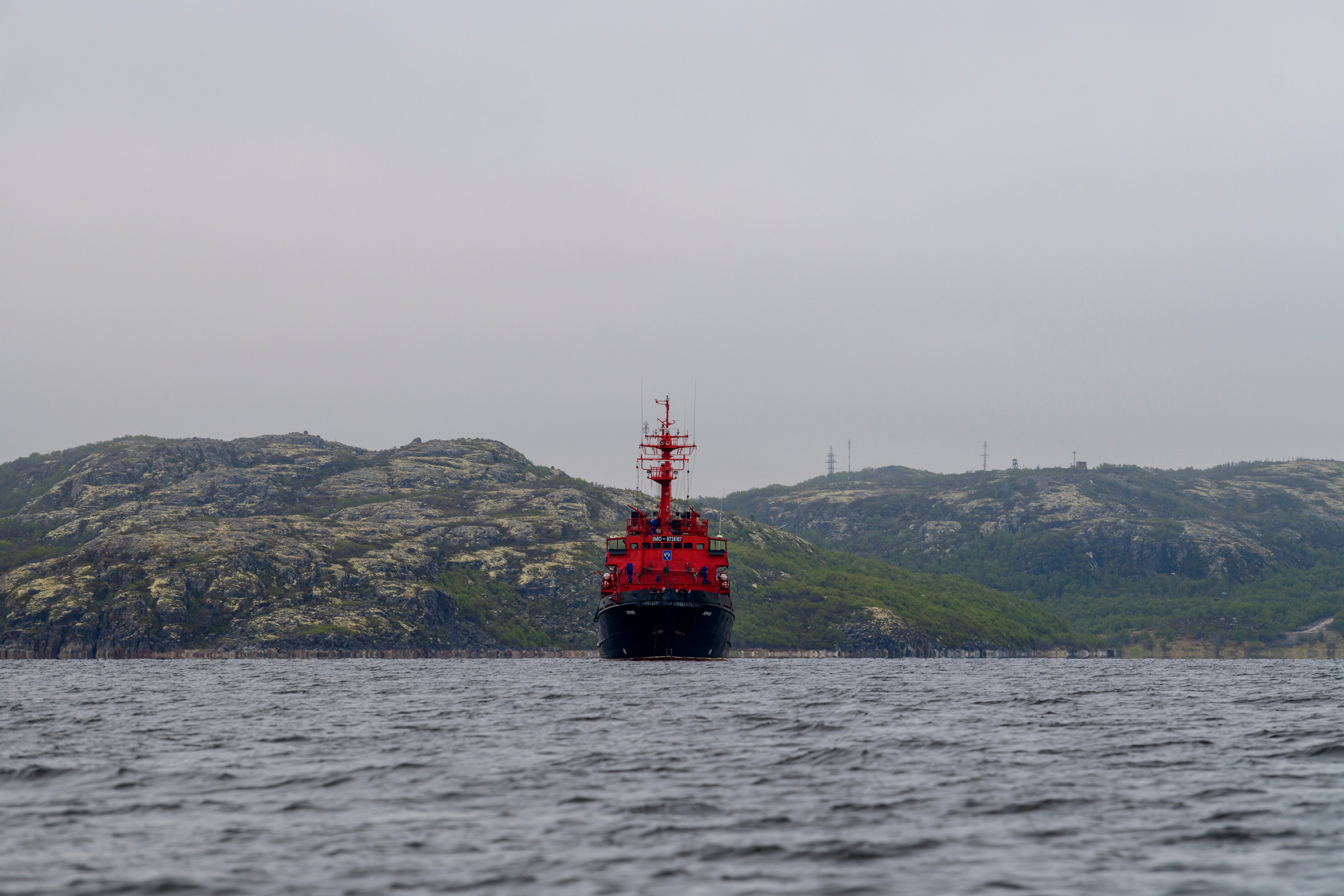 Мурманская область. Июнь 2024. Фотограф Сергей Пупонин