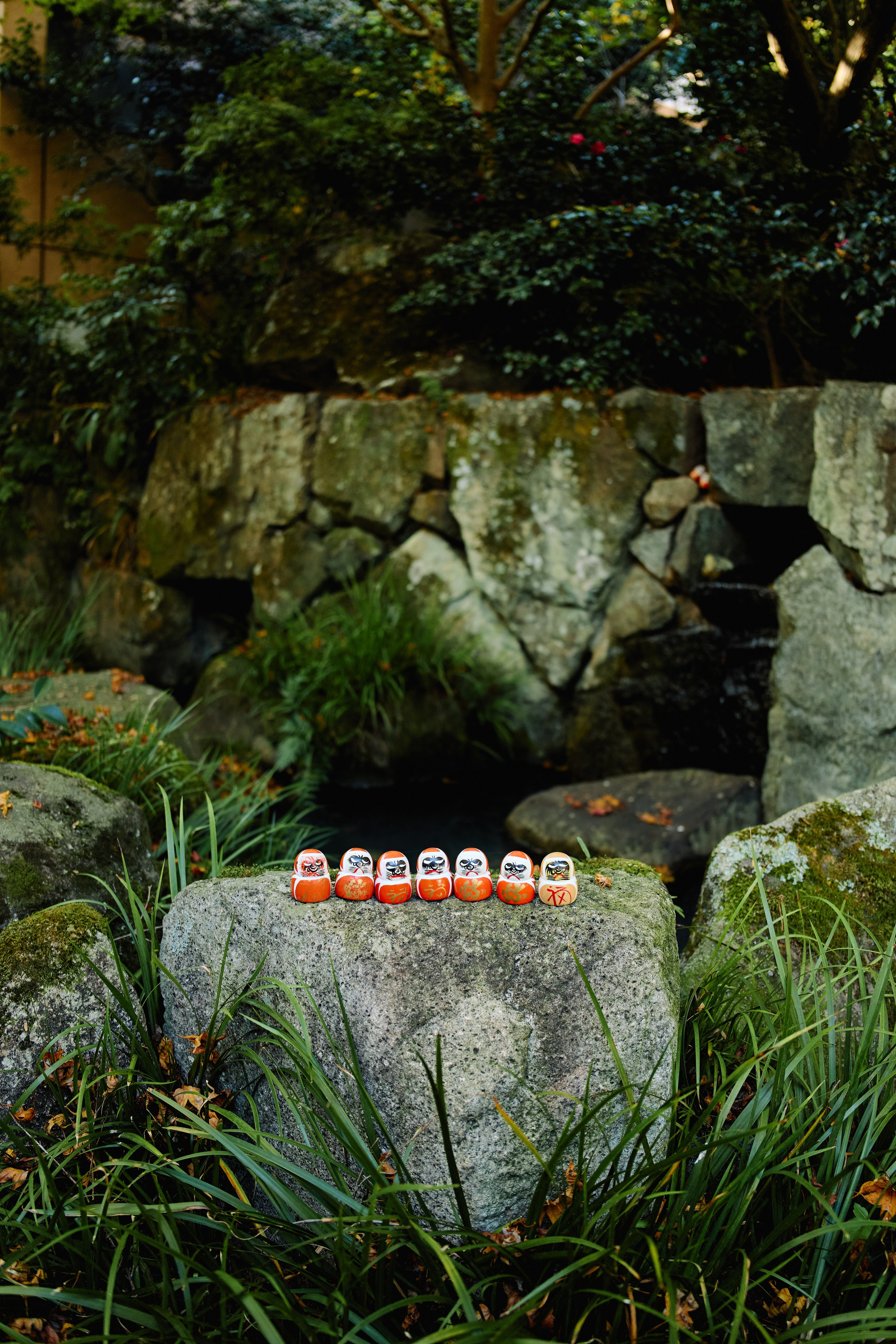 Япония. Профессиональный Фотограф во Владимире, в Москве и в Суздале — Полина Романычева