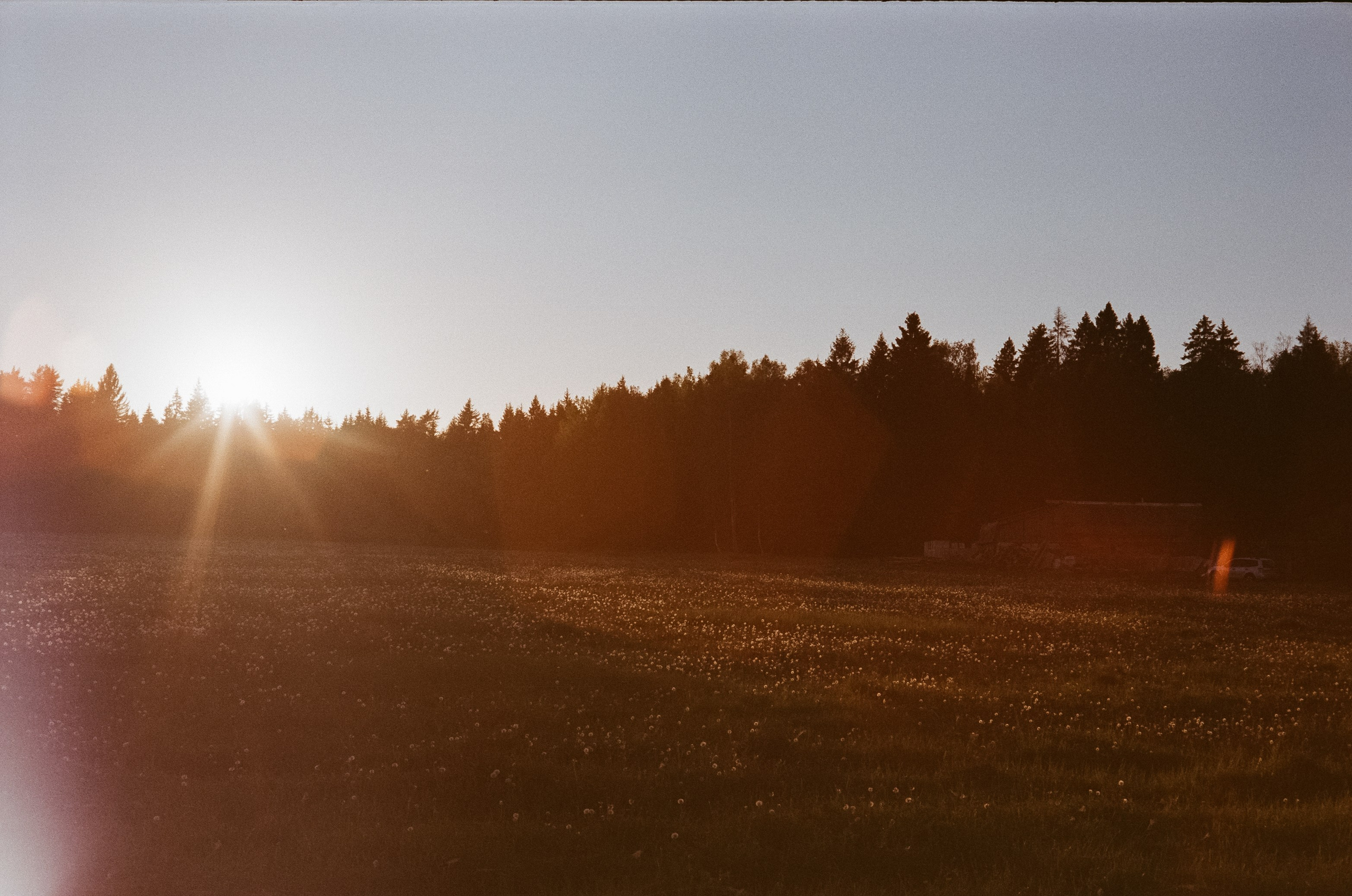 Konica IIIA / Fujicolor Superia 200 (просрочка) / Благовещенский переу