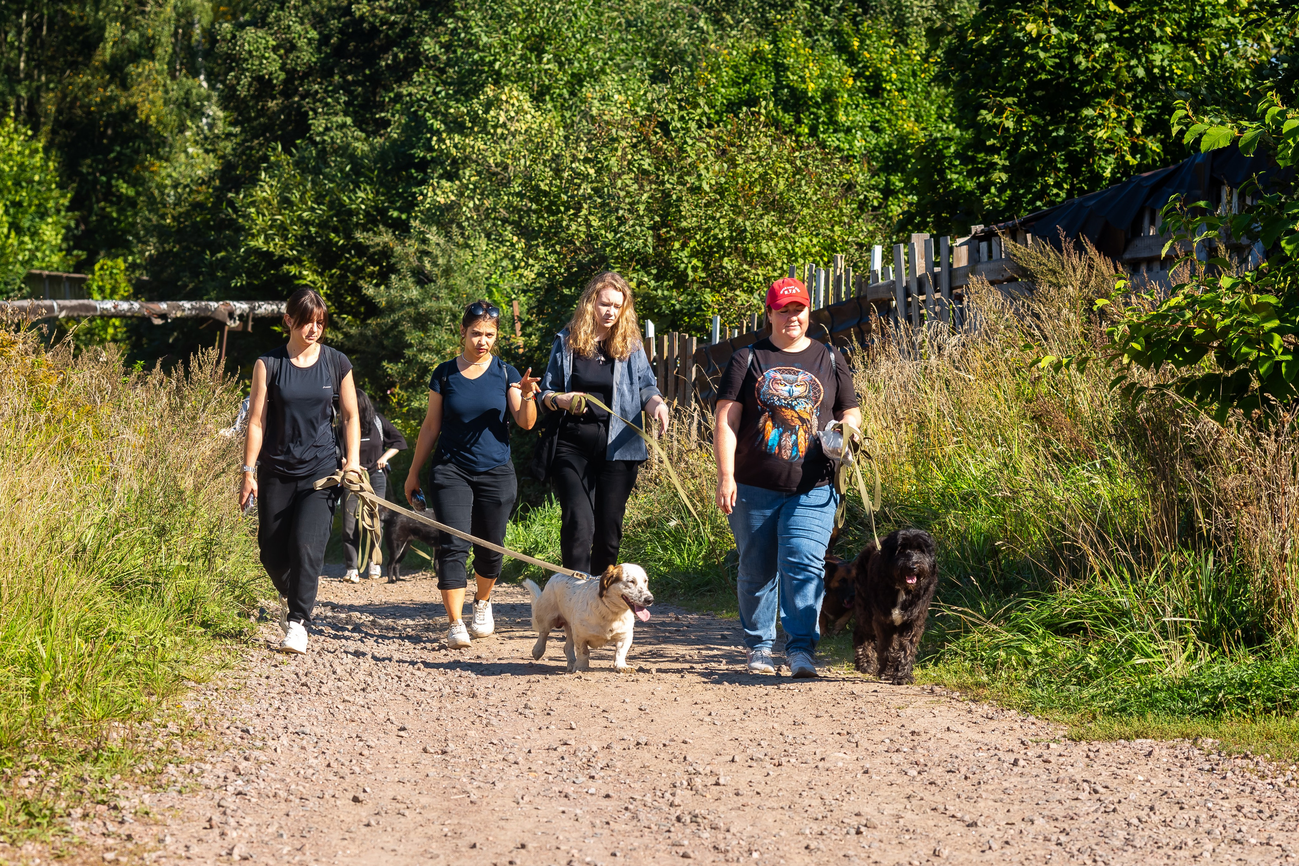 Petshop Забота. Фотограф в Санкт-Петербурге Чумаков Семен