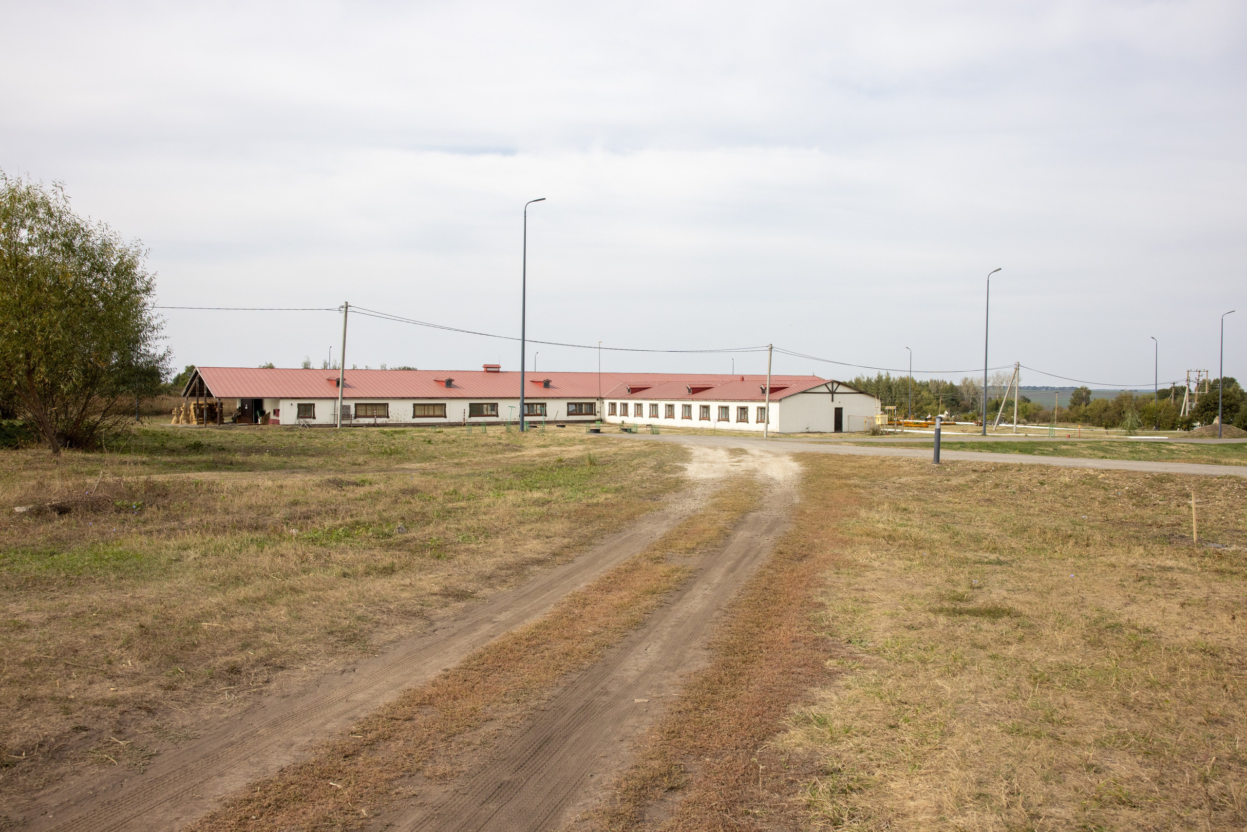 Поездка на поле Кулеково. Фотограф в Туле Крупский АнДРей. Фотостудия «КАДР71» в Туле