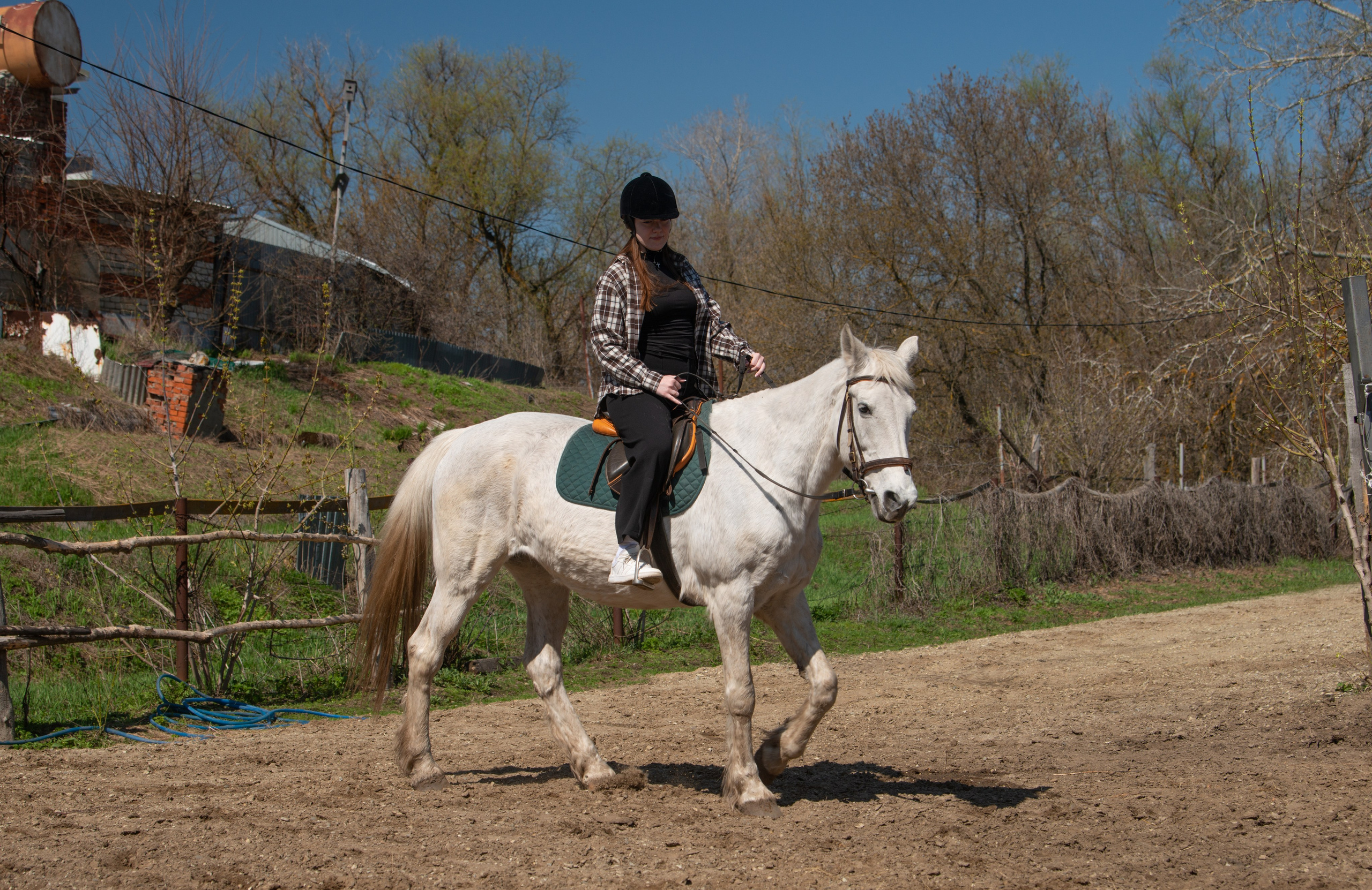 Прогулка. Конный фотограф в Саратове Юлия Иванова