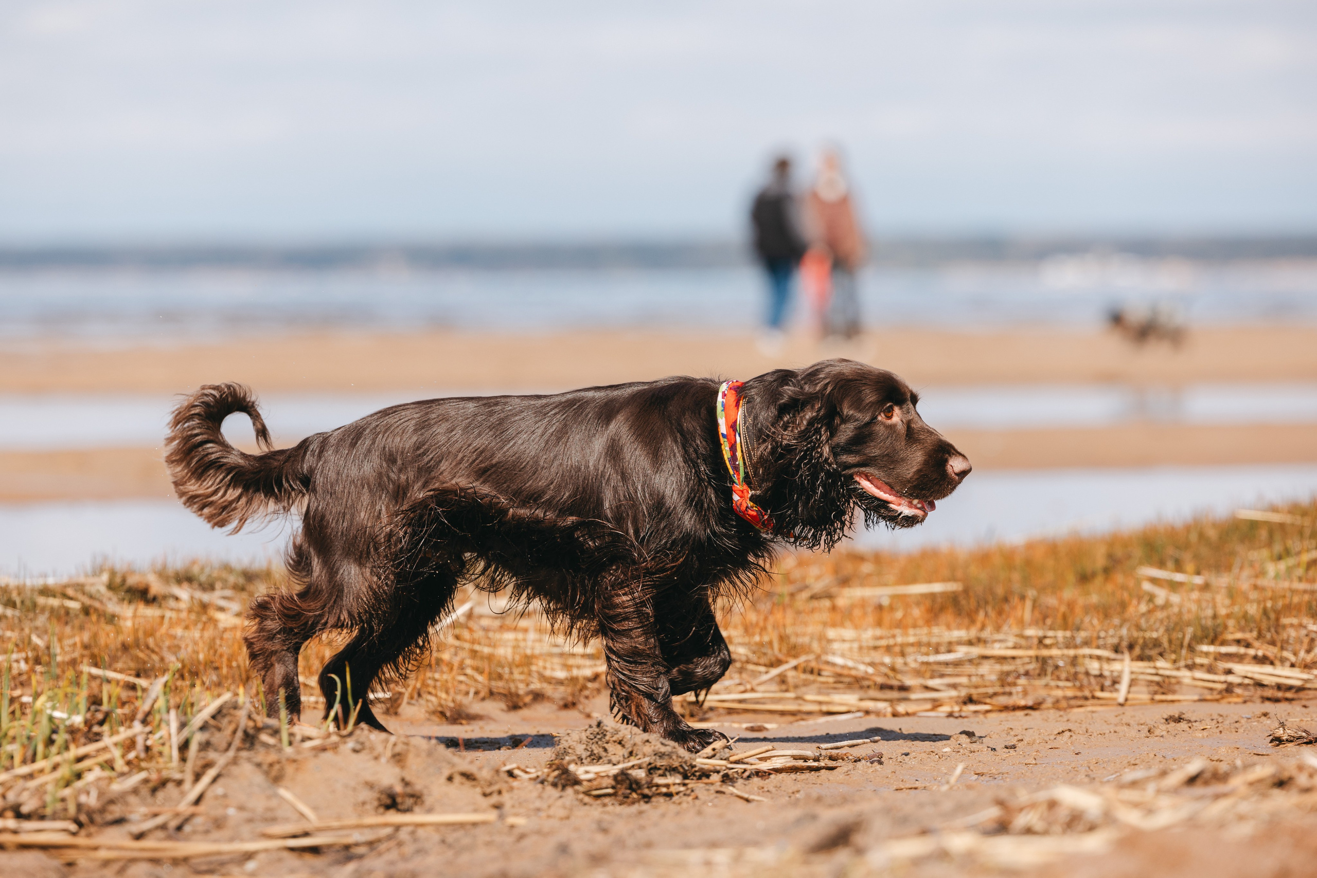 Спанимания. Фотограф анималист Осипчикова Мария