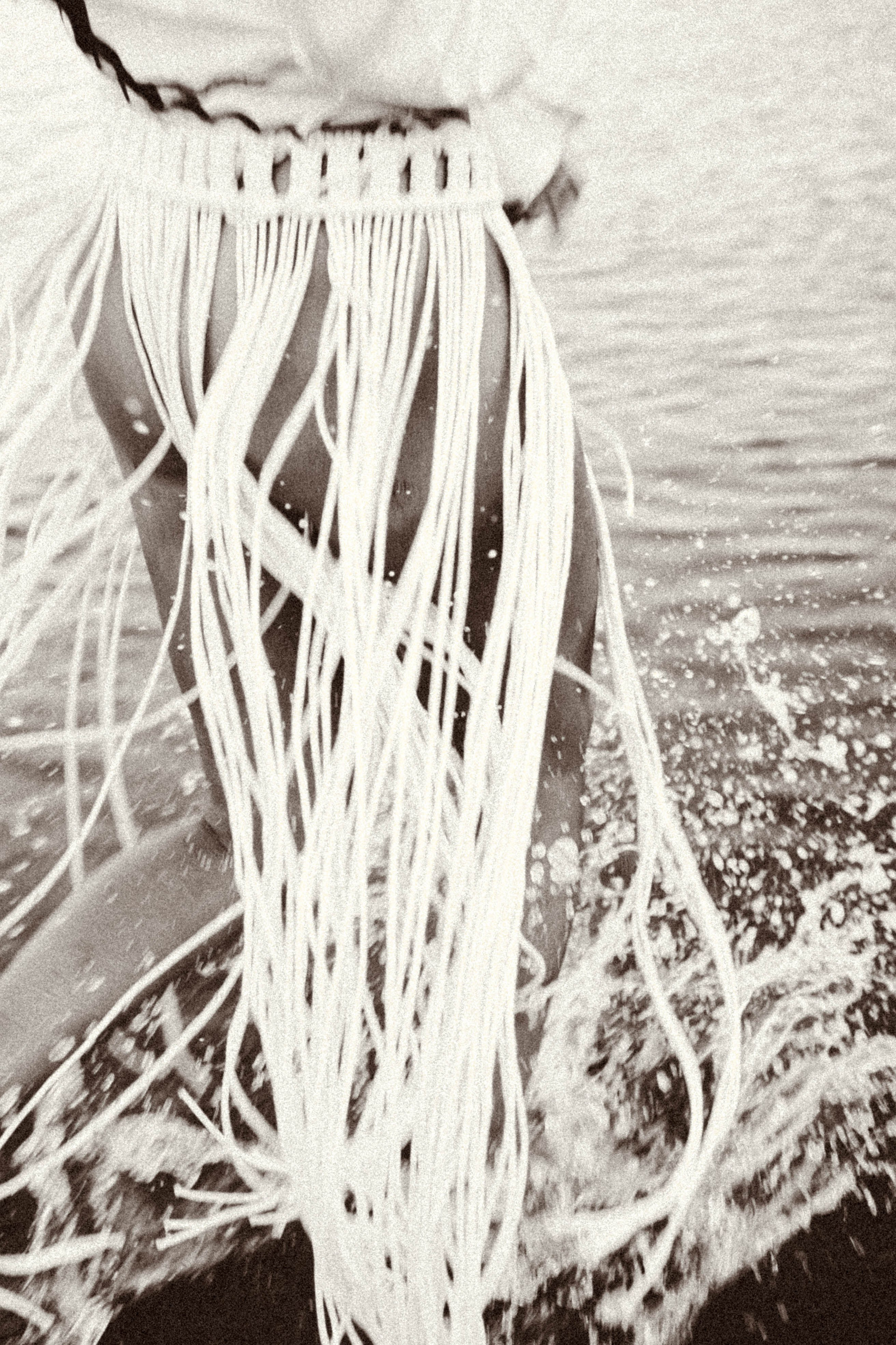 Рассвет. Профессиональный фотограф, Санкт-Петербург — Виктория Богомолова