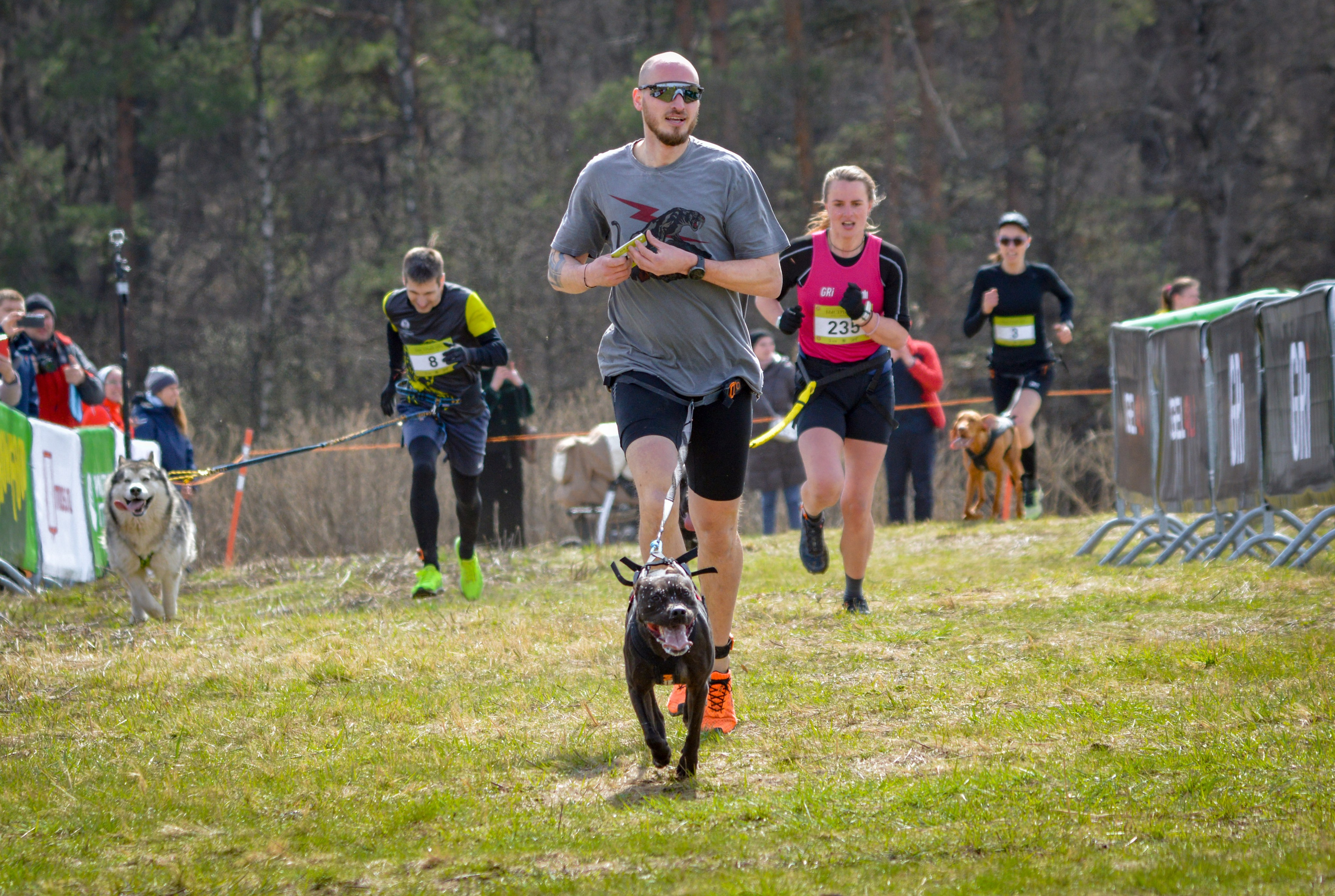 Кросс «Быстрый Пёс» — 15.04.2023. AlexFecto — галереи фотографий