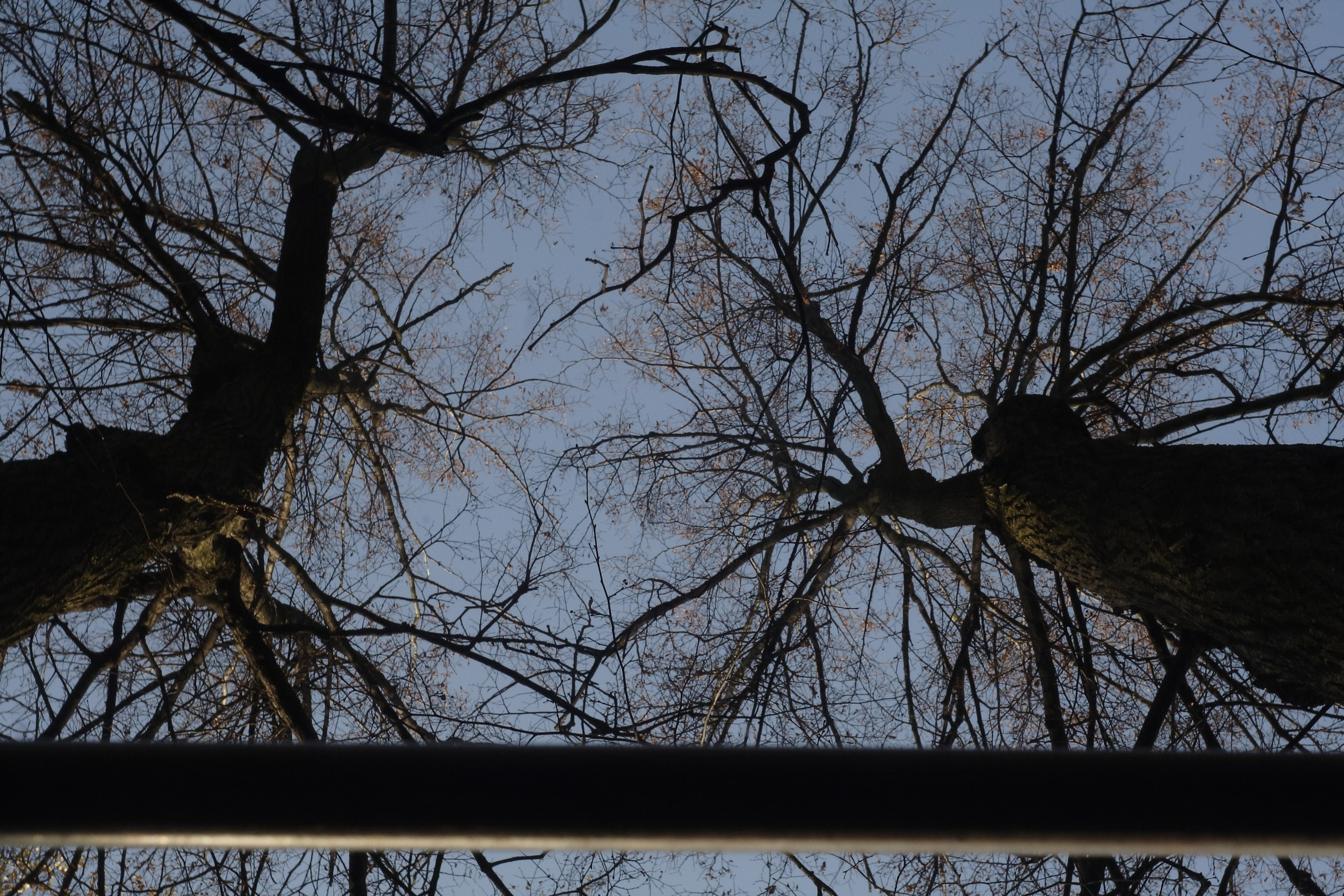 Старое природное, отбирала Katamount (Катерина Горохова). Главная