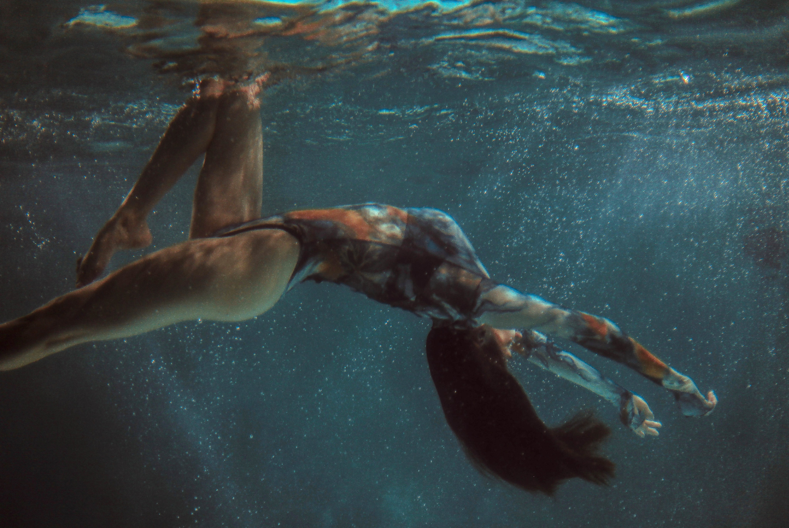 Под водой. Фотограф Калуга|Москва|Крым Кууз Александра