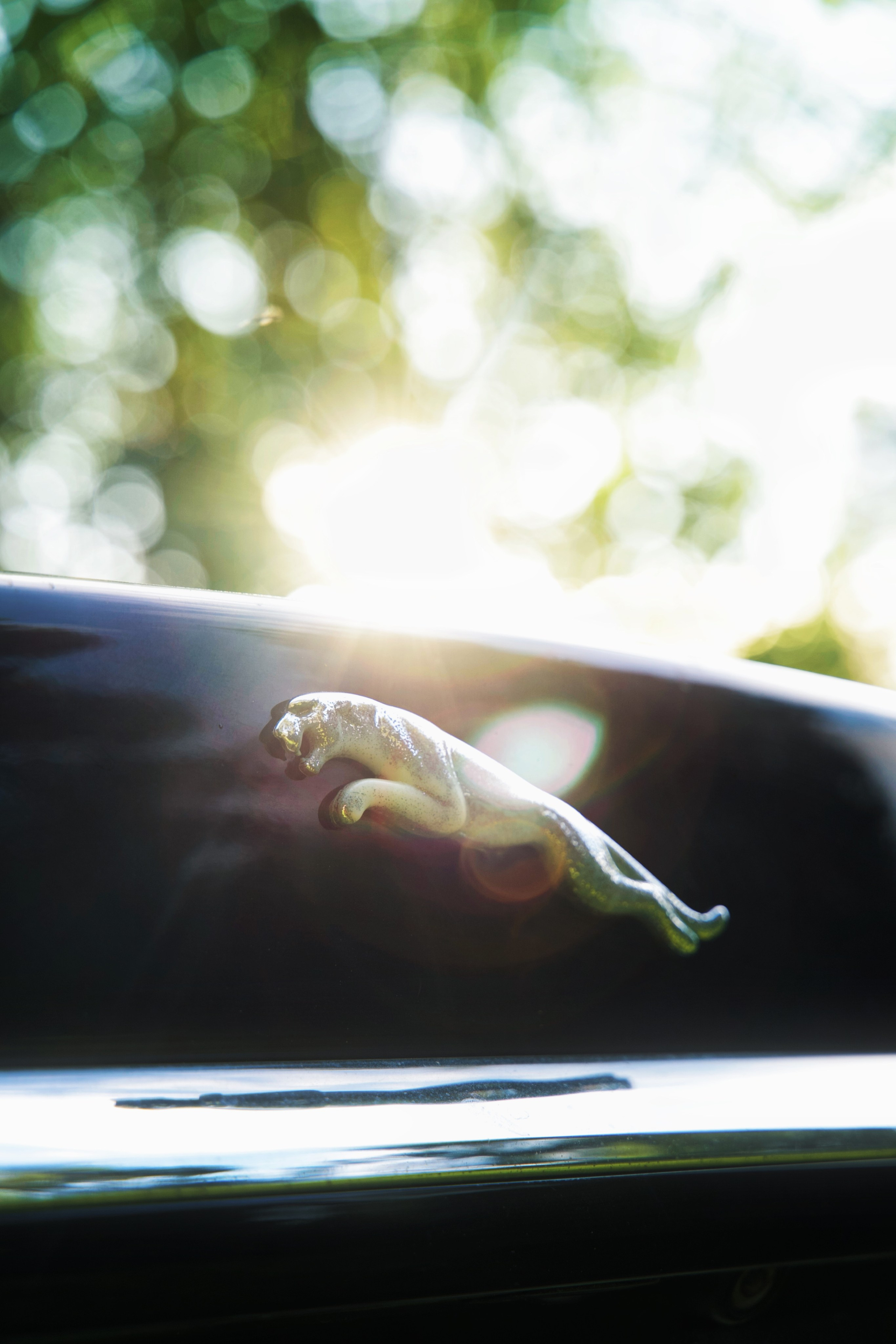 ВЫБОРОЧНОЕ АВТОМОБИЛЬНОЕ ПОРТФОЛИО. Разноплановый фотограф из Москвы/Твери