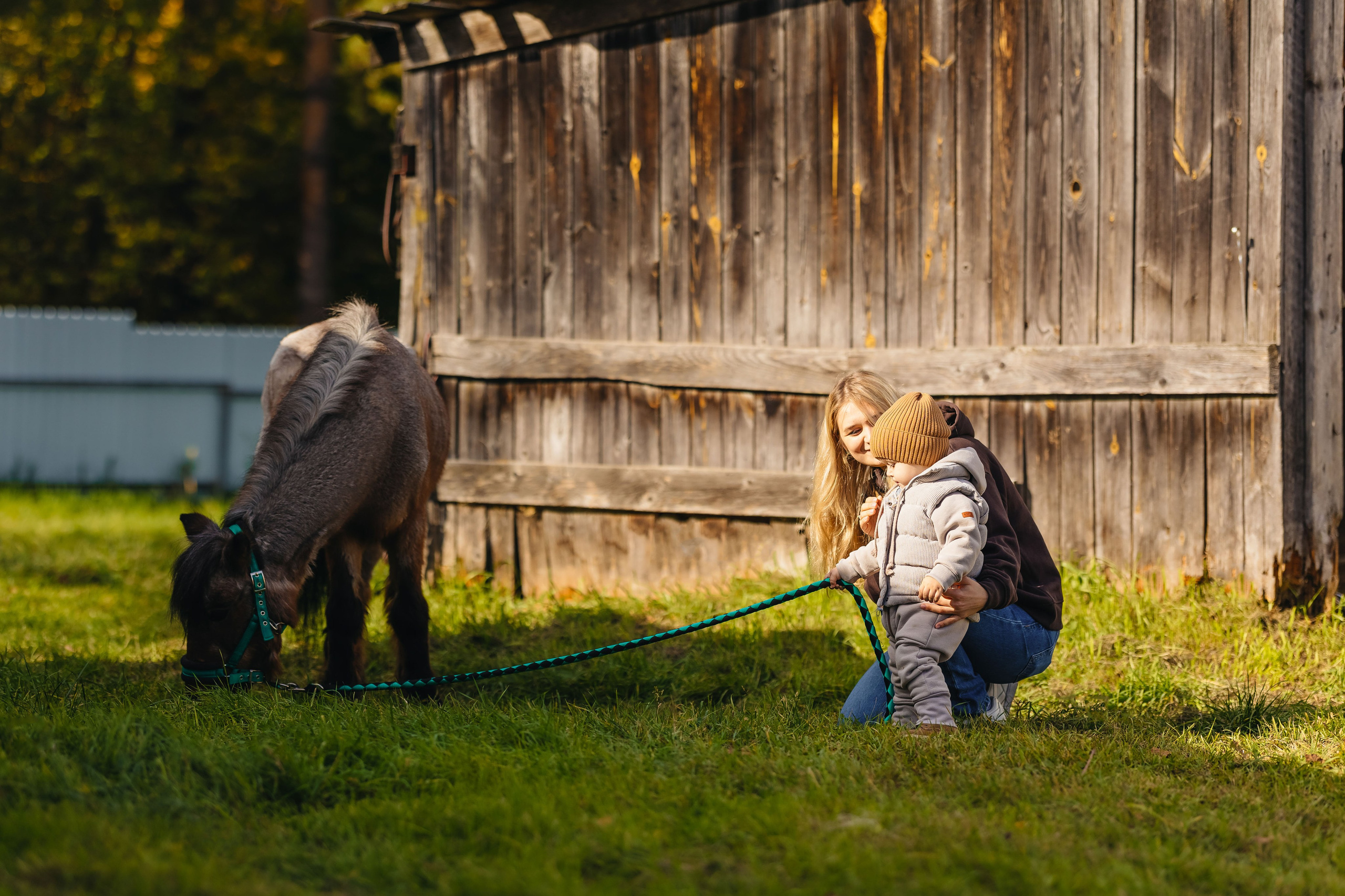 2024.10.02 Илья и лошадка. Ирина Бешляга. Фотограф в Москве и по всей России