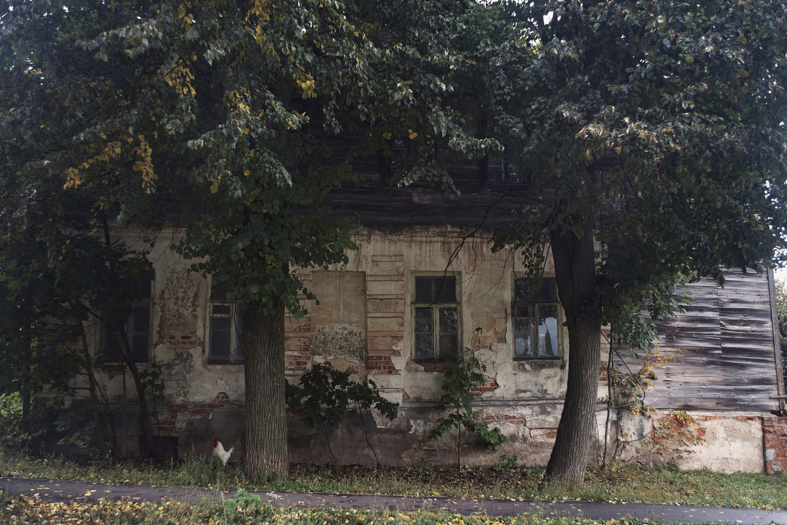 Чекалинцы 2. Дмитрий Ермаков. Фотограф