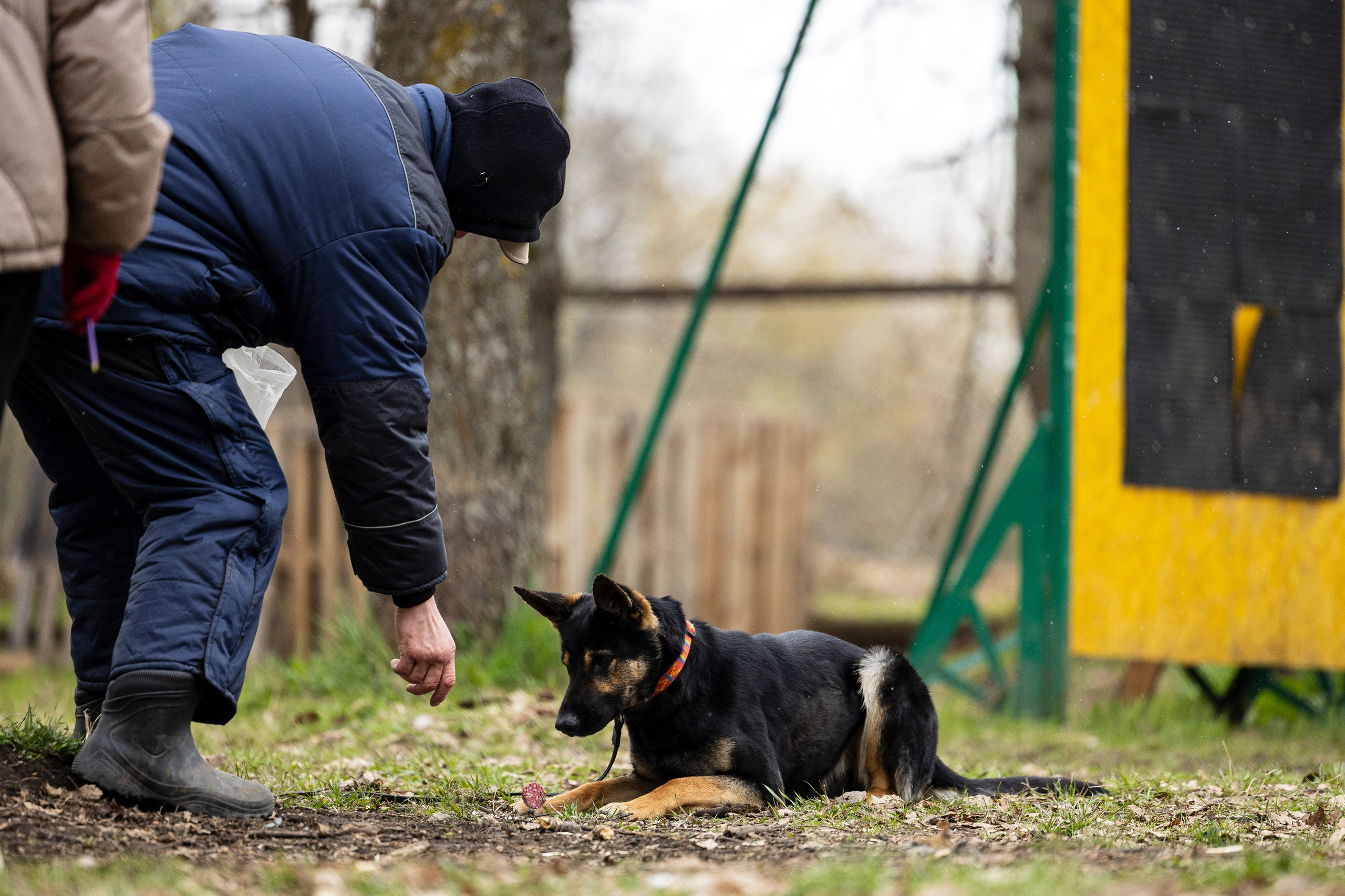 Квалификационные состязания по мондьорингу г. Вологда 11.05.24. Фотограф-анималист Анна Маринич