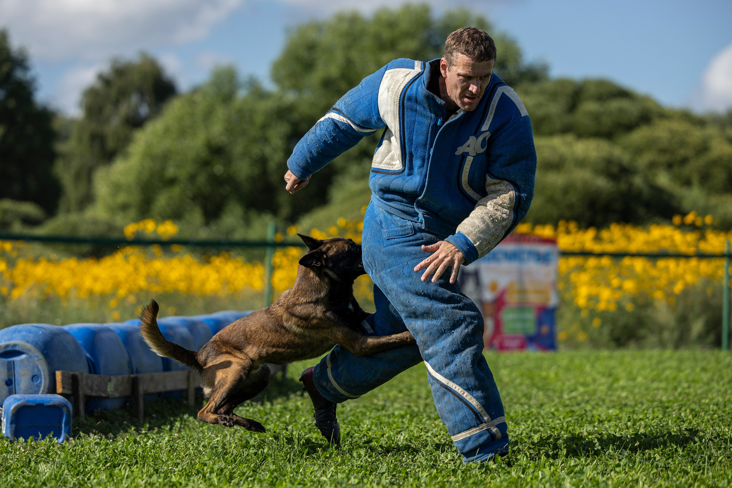 Соревнования по Мондьорингу г. Вологда 10-11.08.2024. Фотограф-анималист Анна Маринич