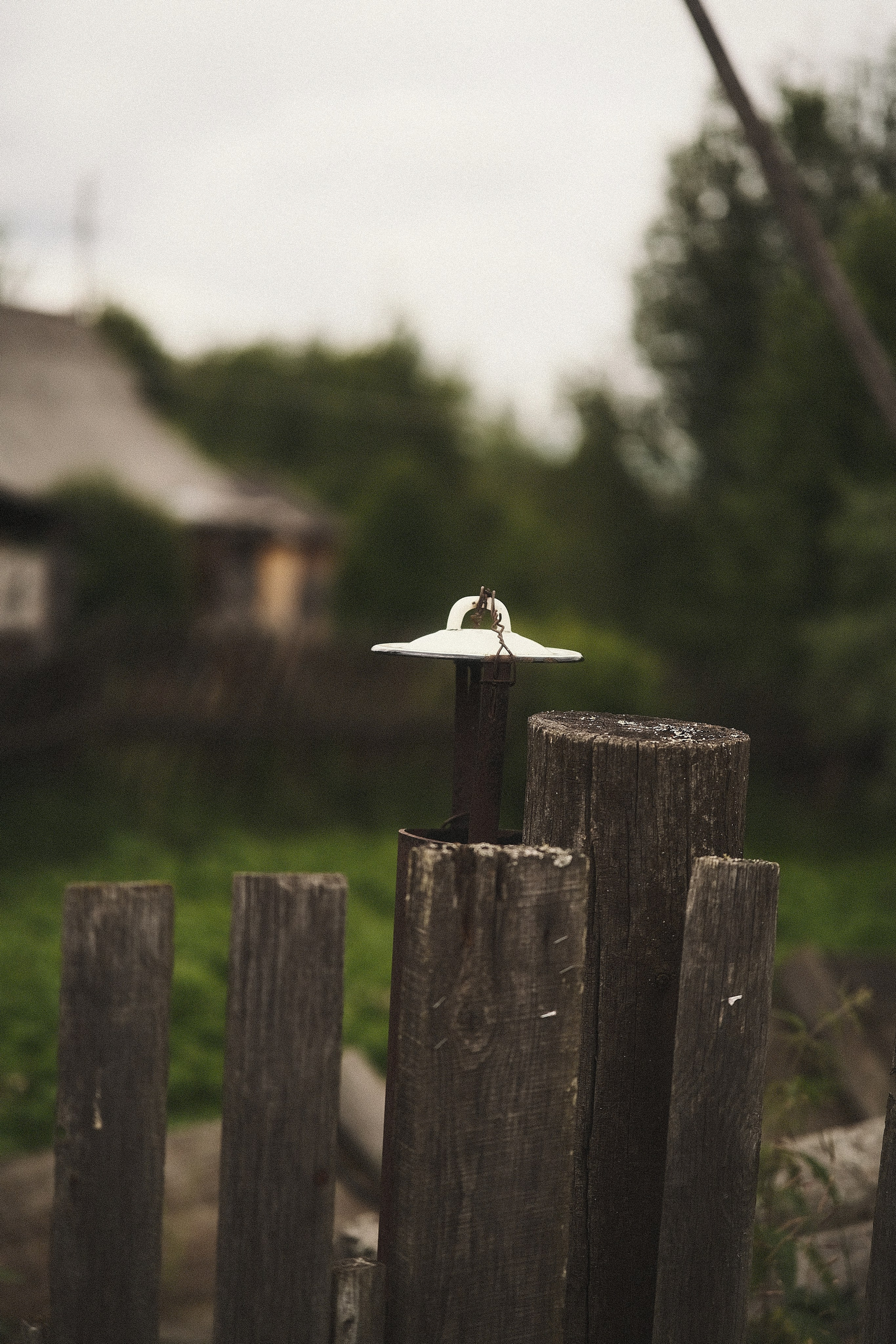 Стрит-фотография Сыктывкар. Фотограф-любитель из Кирова Андрей Погребняк